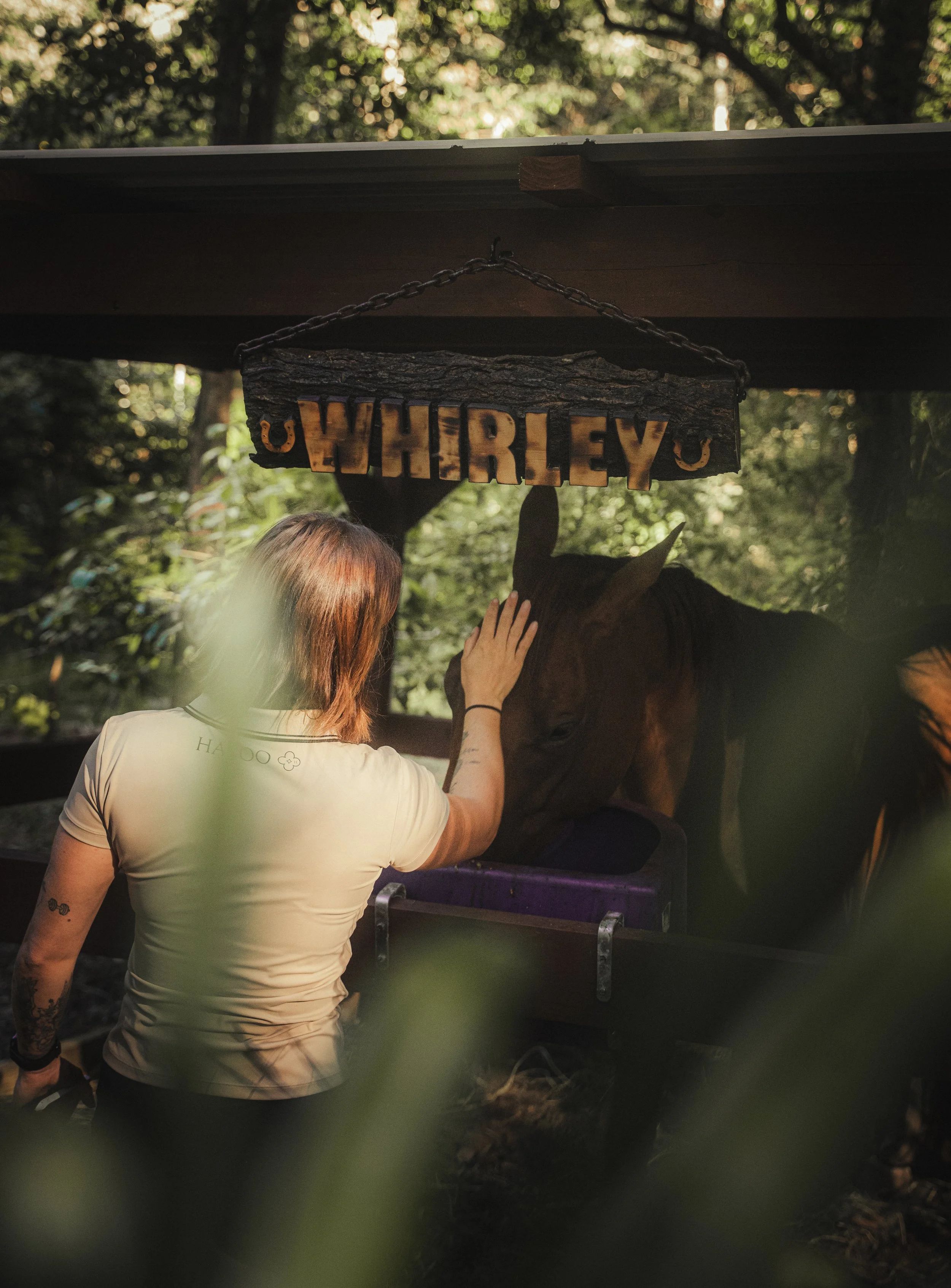 Woman petting a brown horse in a stable with a wooden sign that says 'WHEELRY' hanging above.
