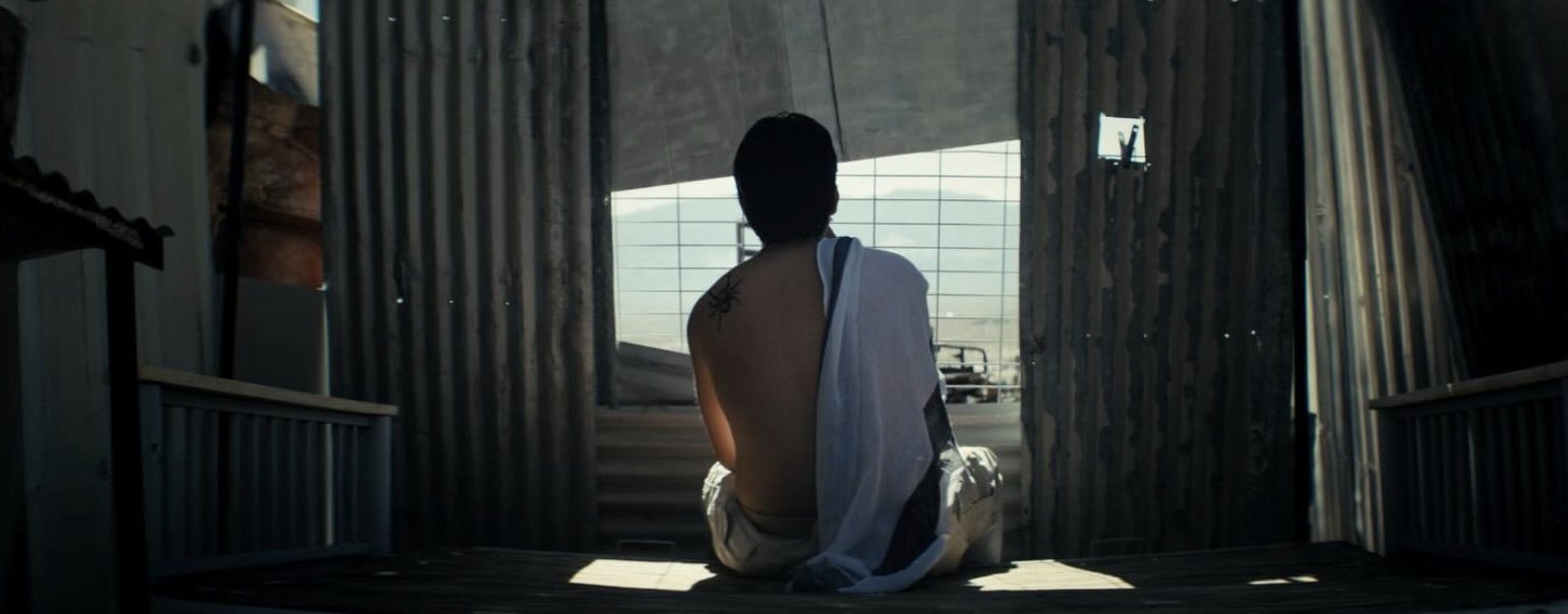 The Fatherless Generation