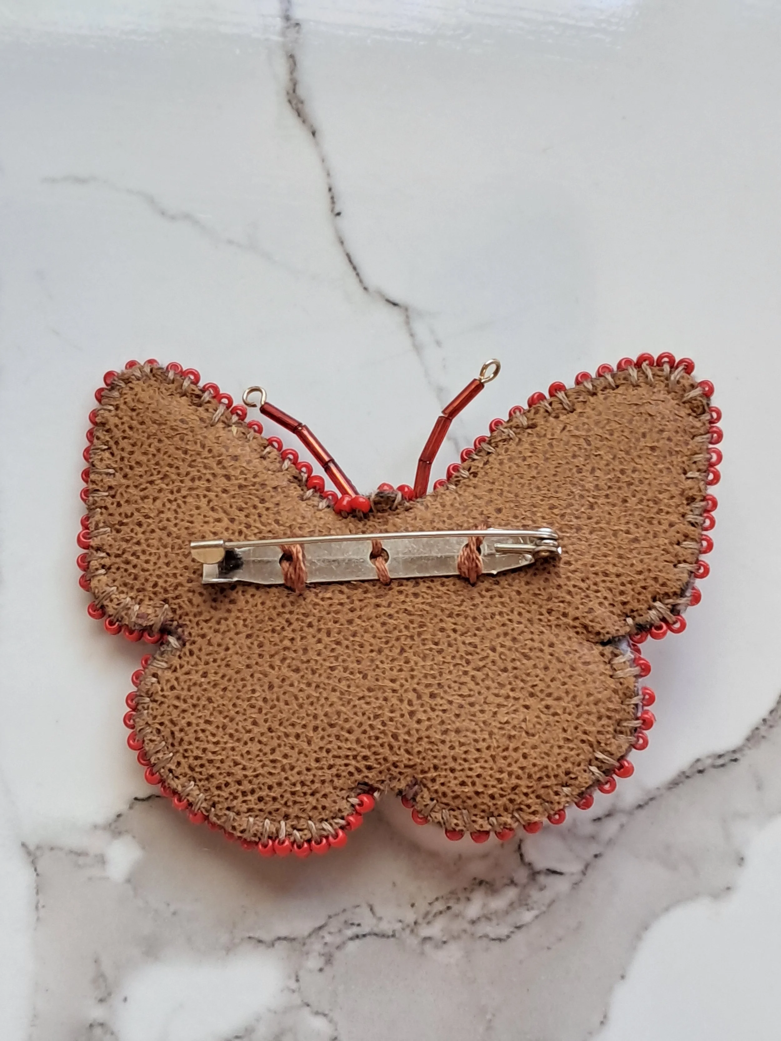 Schulze's agrias butterfly back.jpg