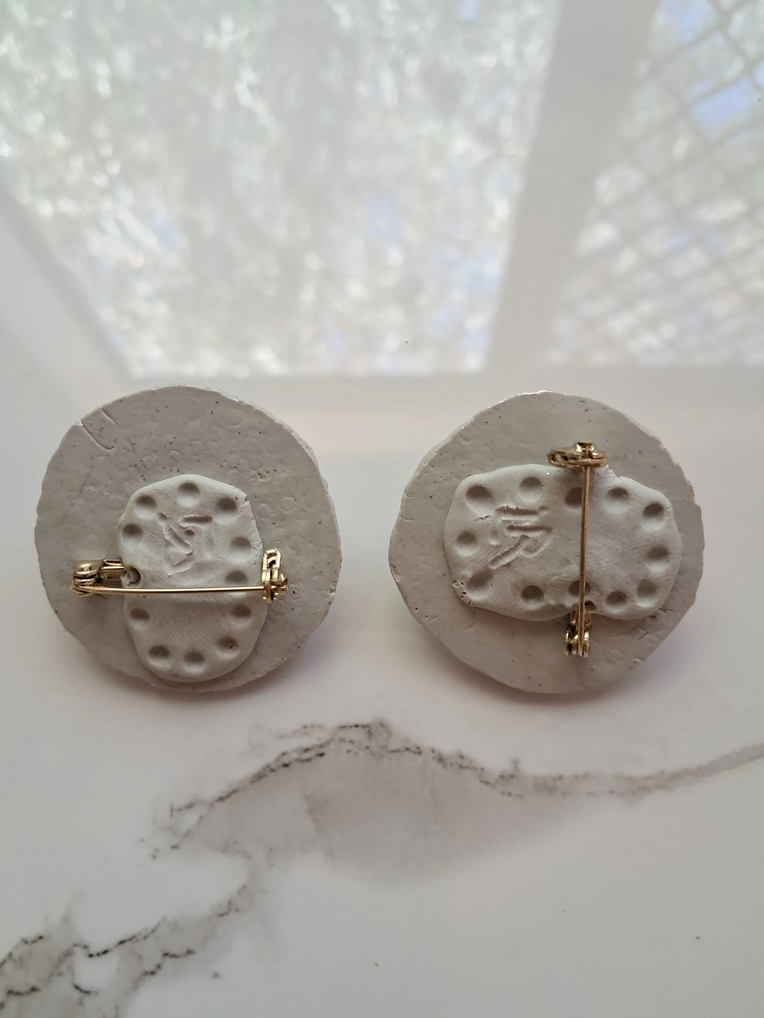 Glass shield brooches back.jpg