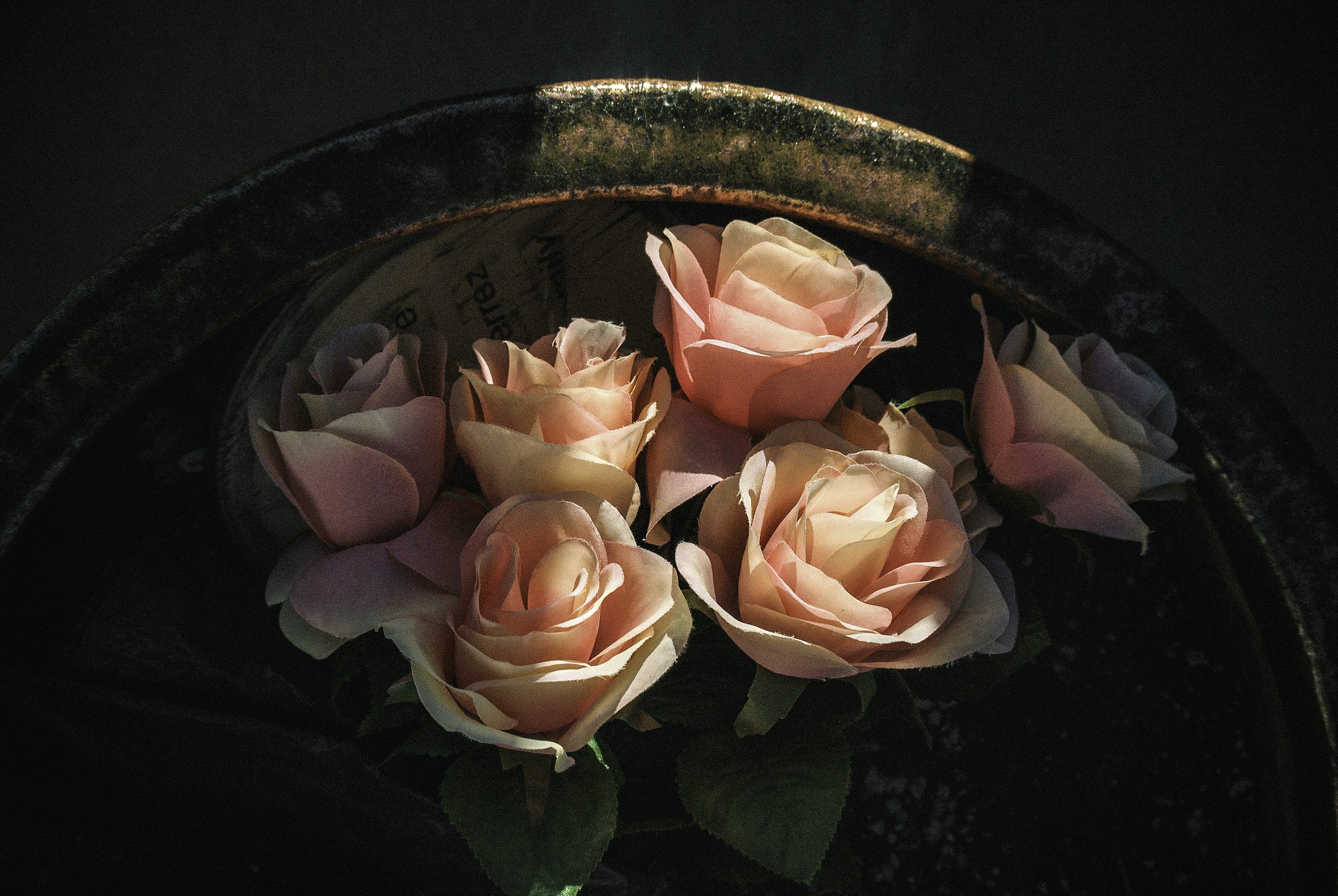 A bouquet of light pink roses with green leaves inside a dark round frame, possibly a hat or basket.