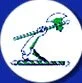axe brand logo.jpg