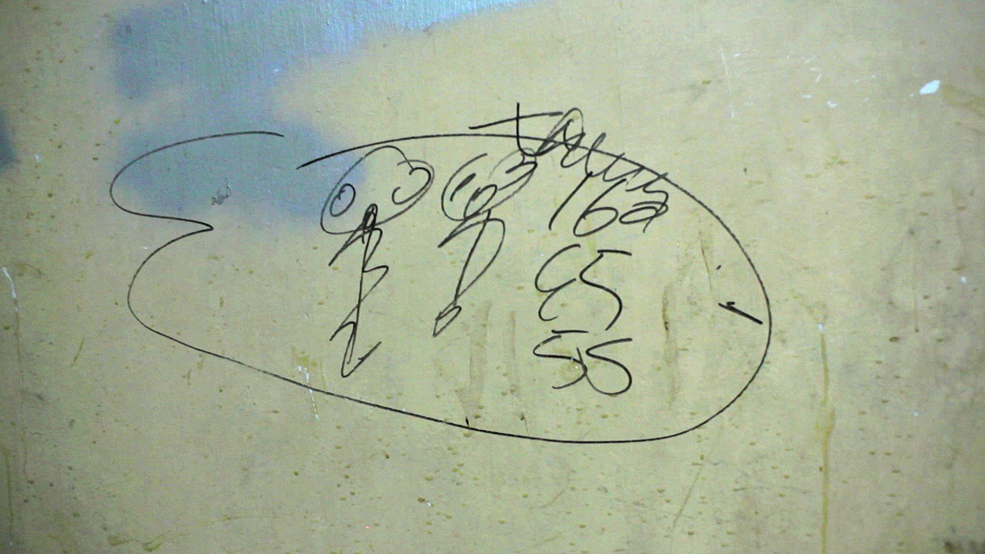Yangtze Scribbler (2012)