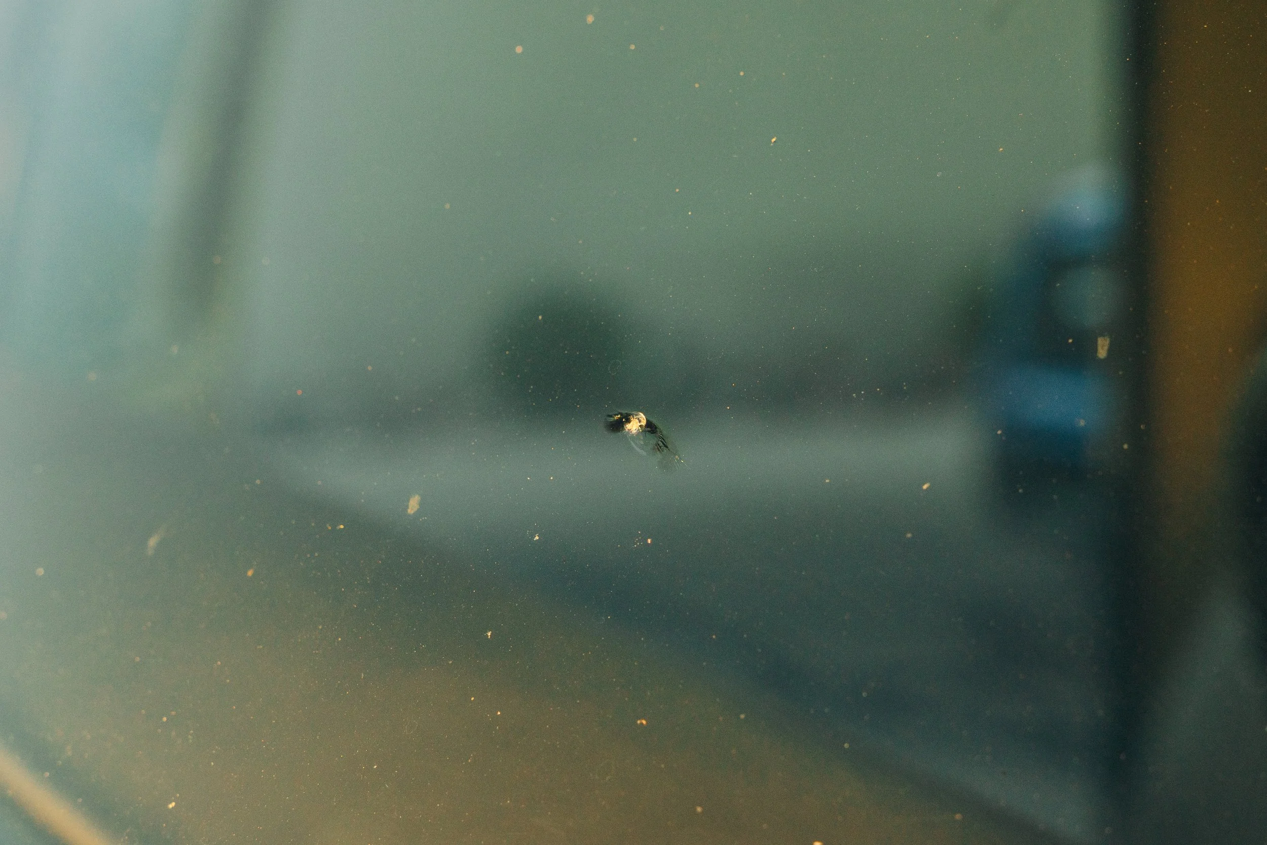 _A7R9955.jpg