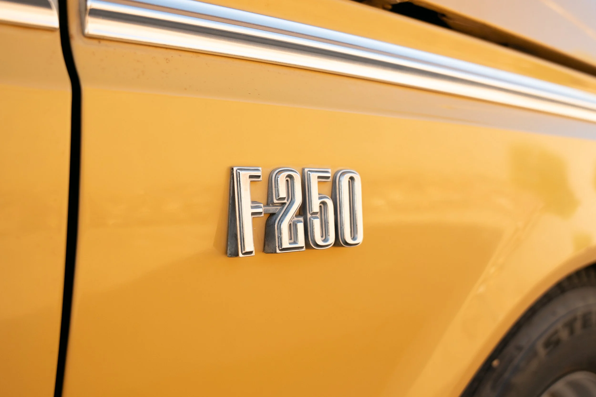 _A7R9501.jpg