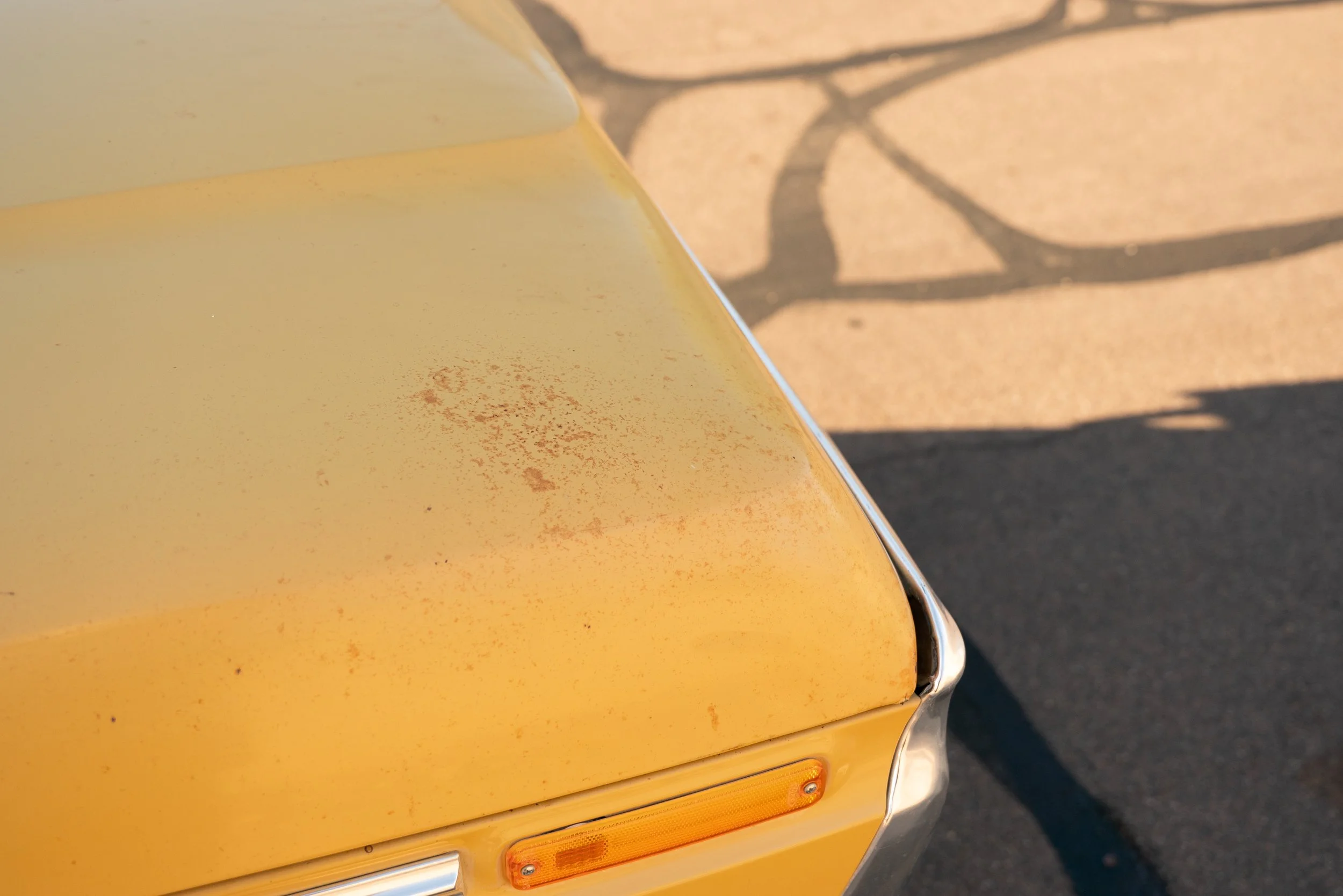 _A7R9504.jpg