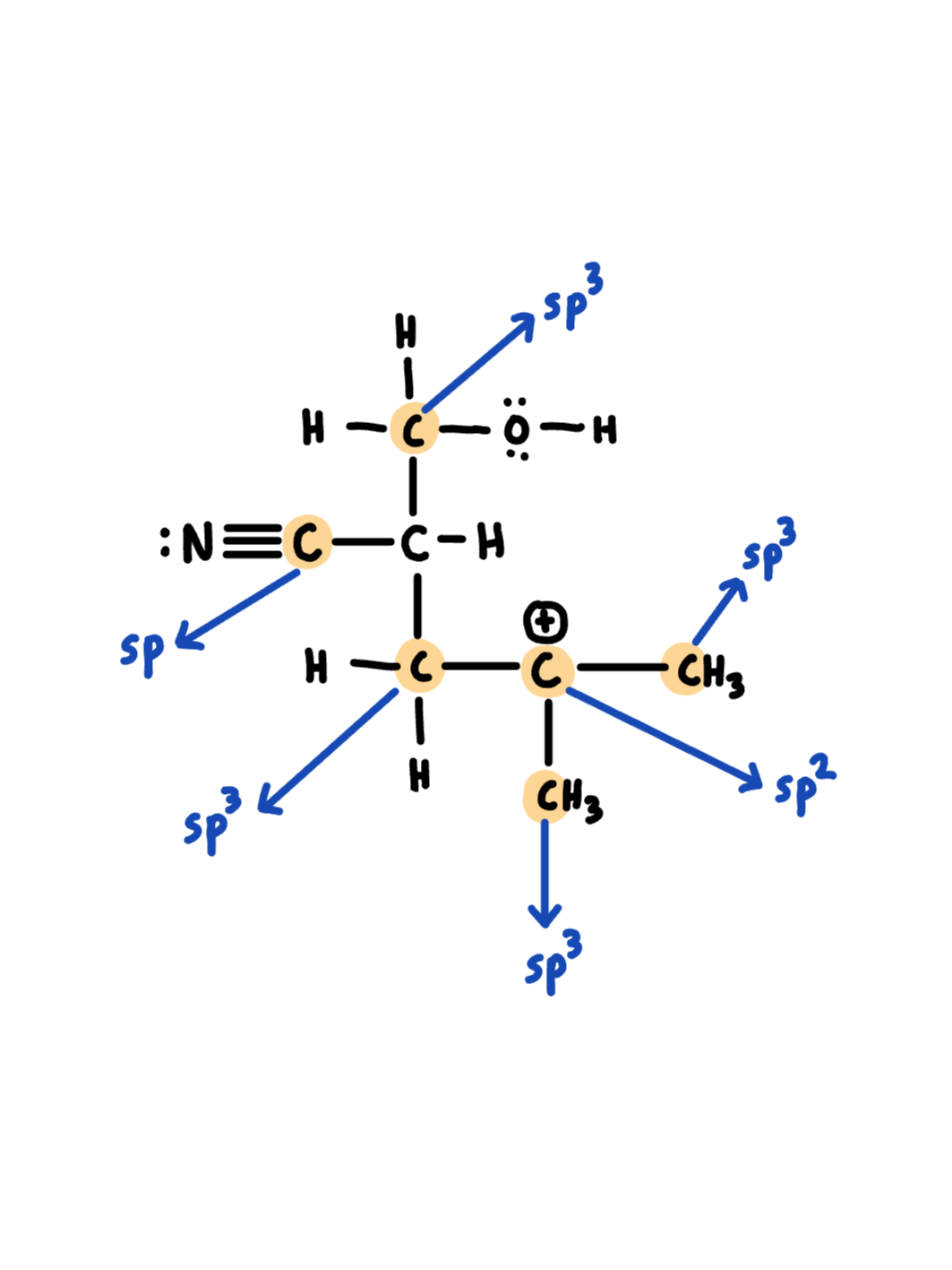 Chemical structure diagram of an amino acid with labeled sp3 hybridization sites.