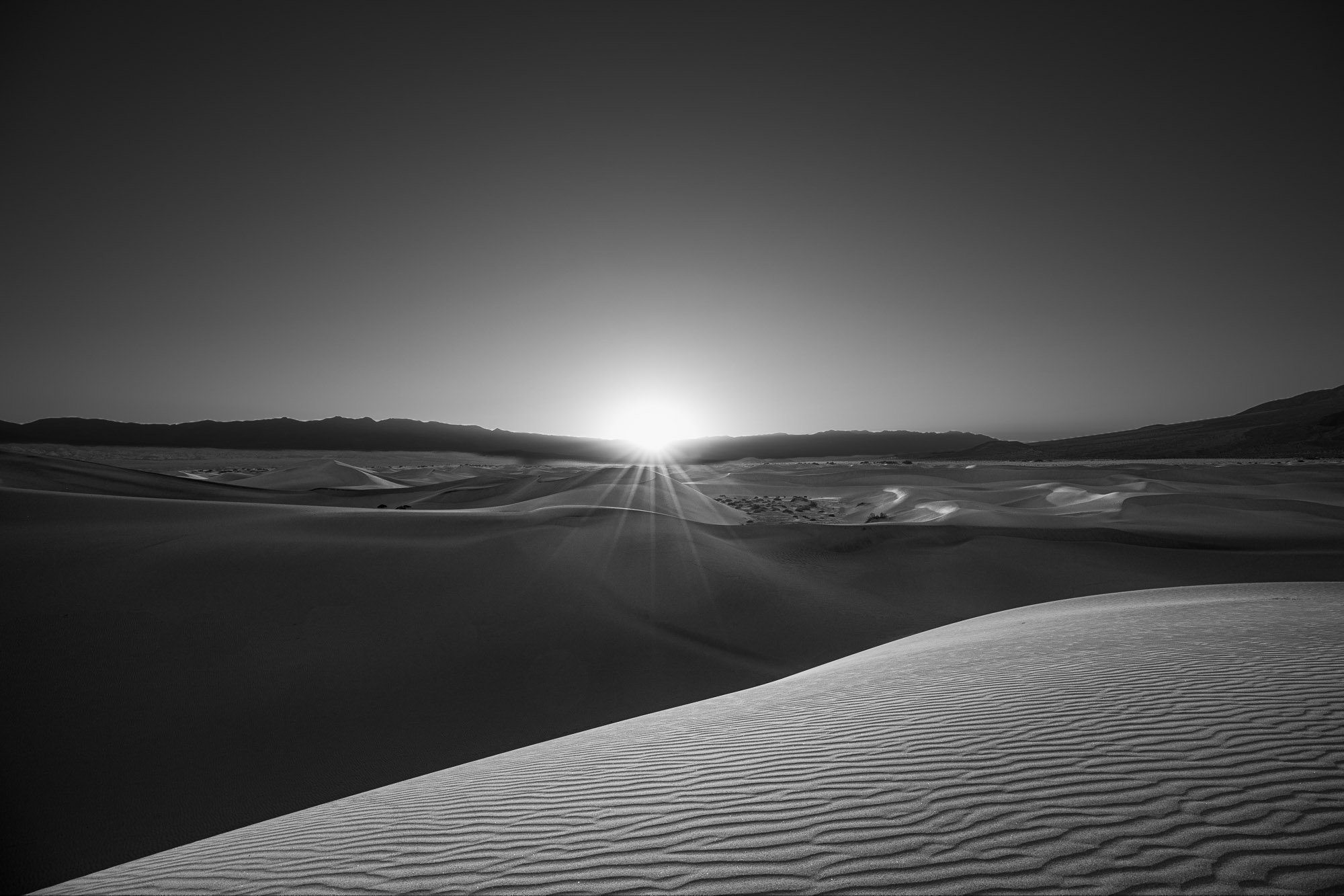 First Light.jpg