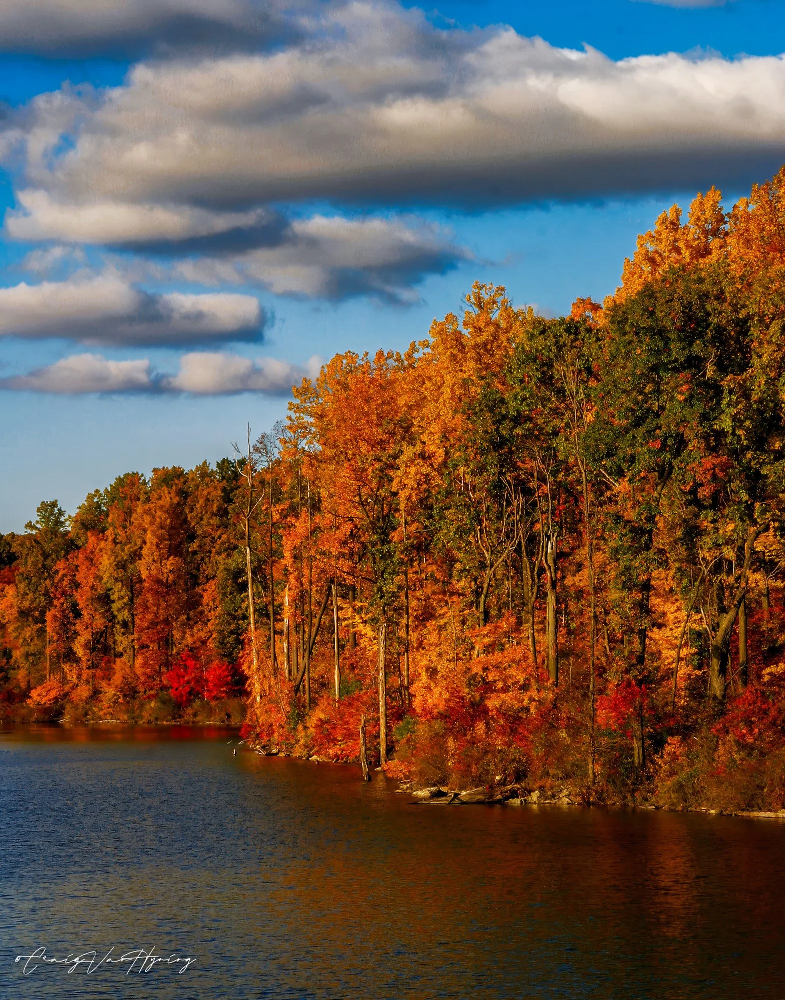 MillCreek-2.jpg