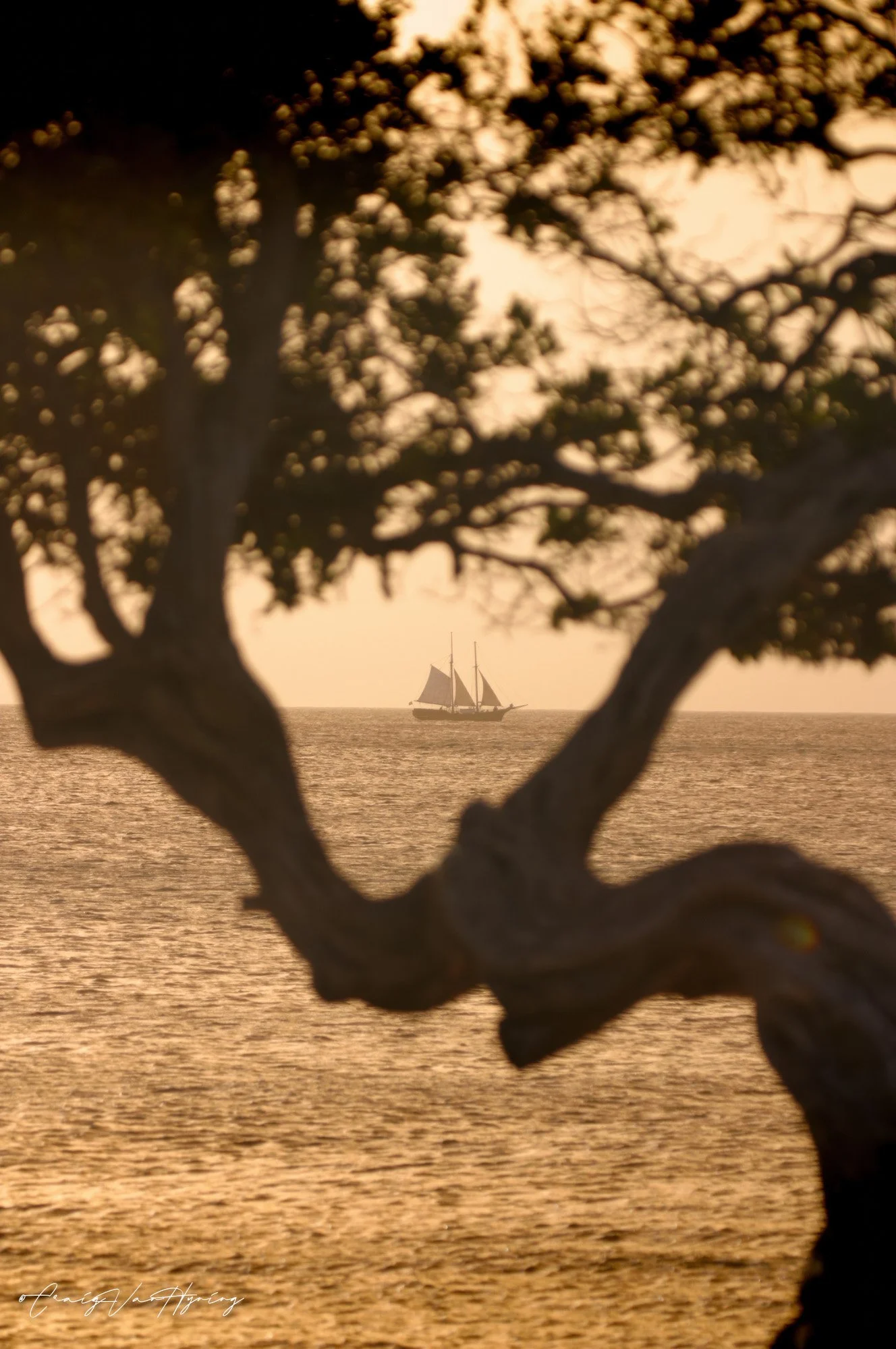 ArubaShip-2.jpg