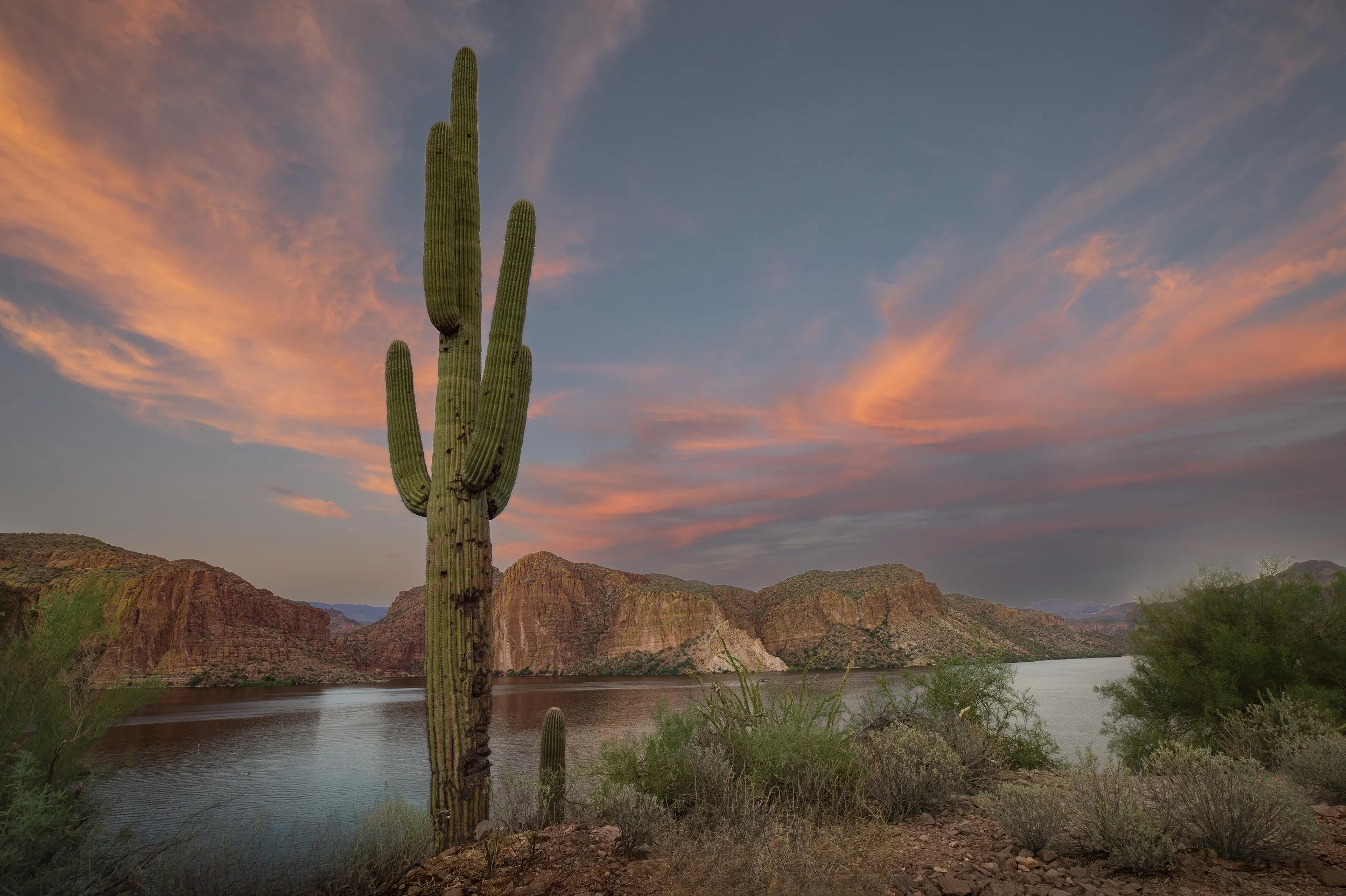 CanyonLake_Cactus