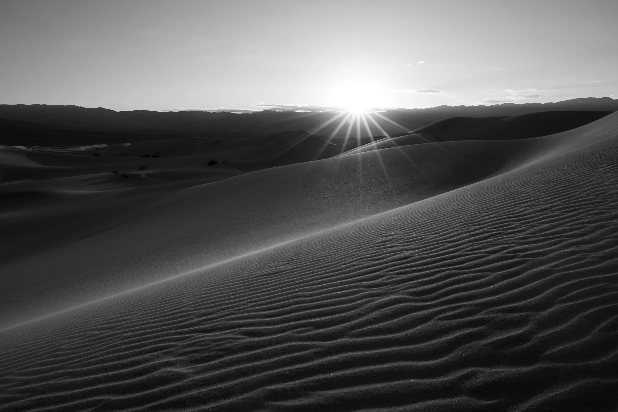 Lines of Light.jpg