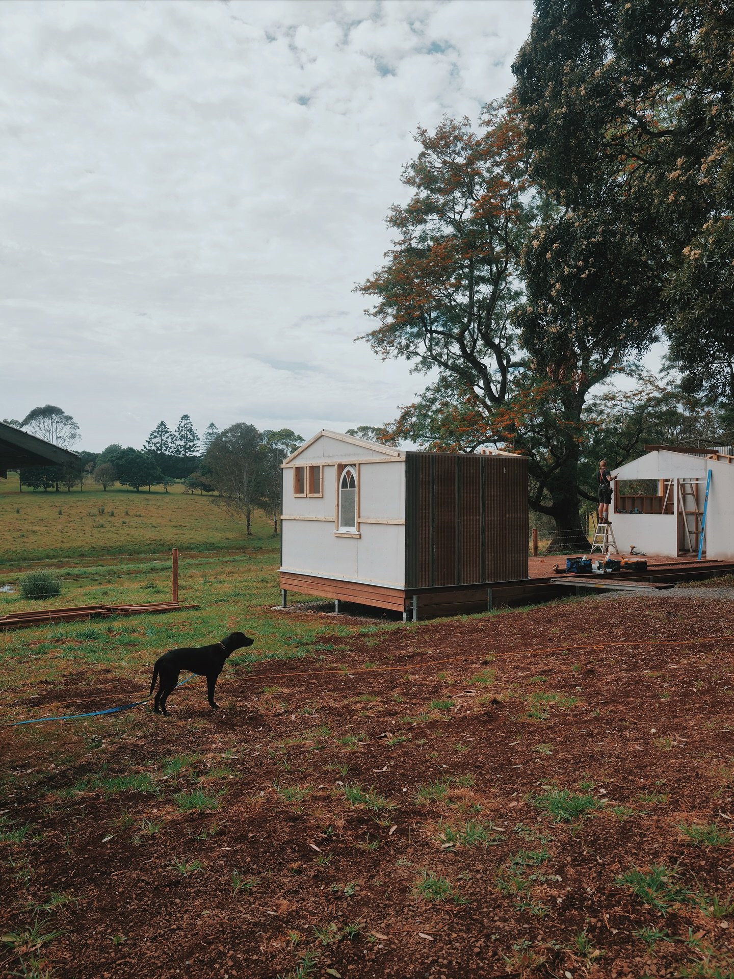 The shed is going up! Our amenities and servery shelter designed by @borrelldesign.com.au and engineered by @grain.structural.studio was inspired by the farm sheds that dot our landscape. It&rsquo;s being brought to life by @happyhourfitout using rec