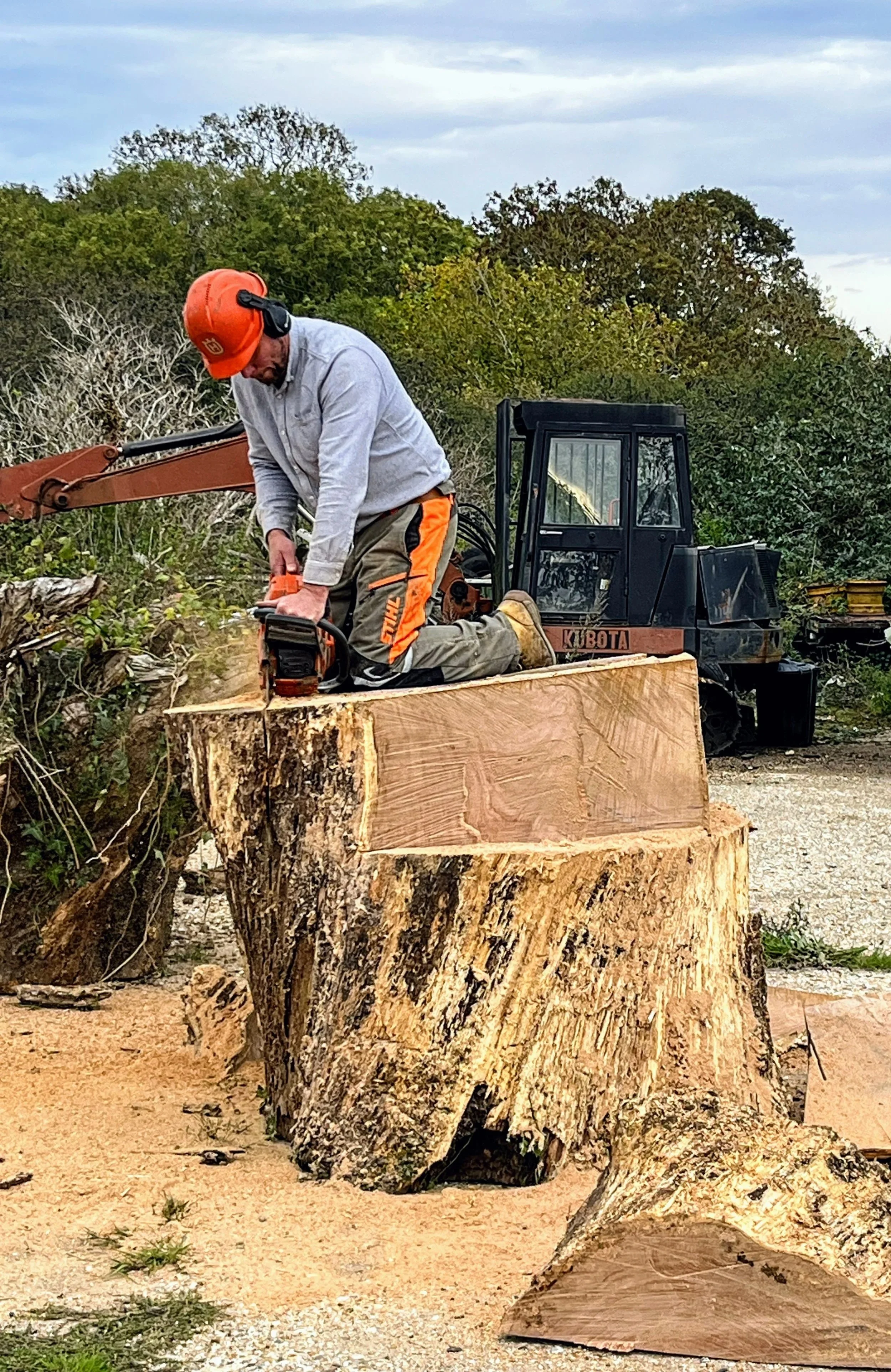 A person wearing safety gear, including a helmet and ear protection, is cutting a large tree trunk with a chainsaw. There is heavy machinery and trees in the background.