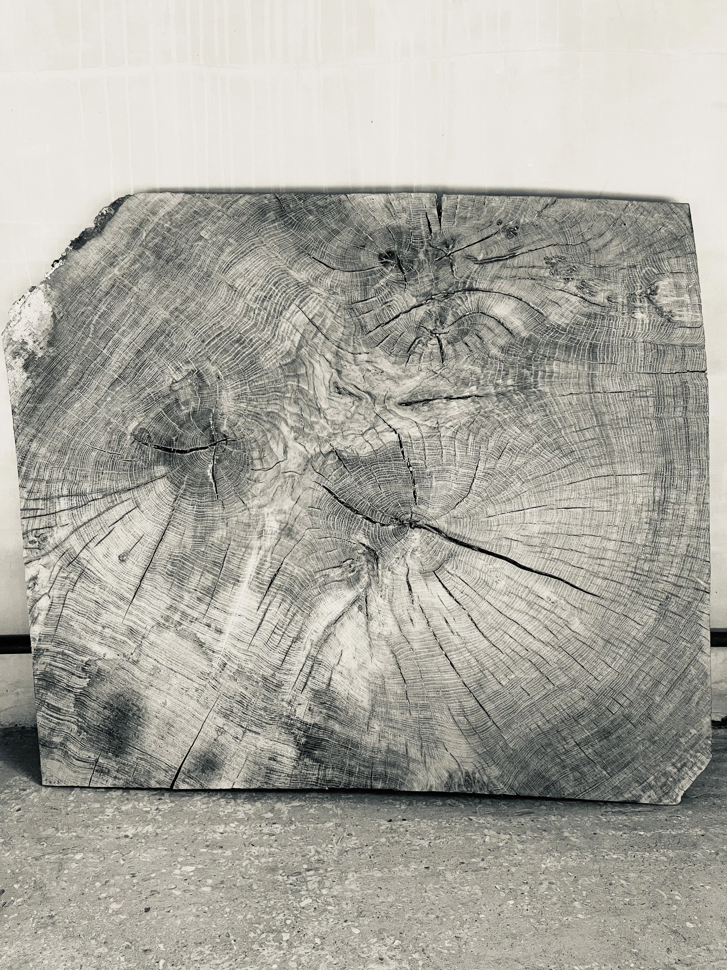 A large wooden slab with visible growth rings and cracks, leaning against a wall on a concrete floor.