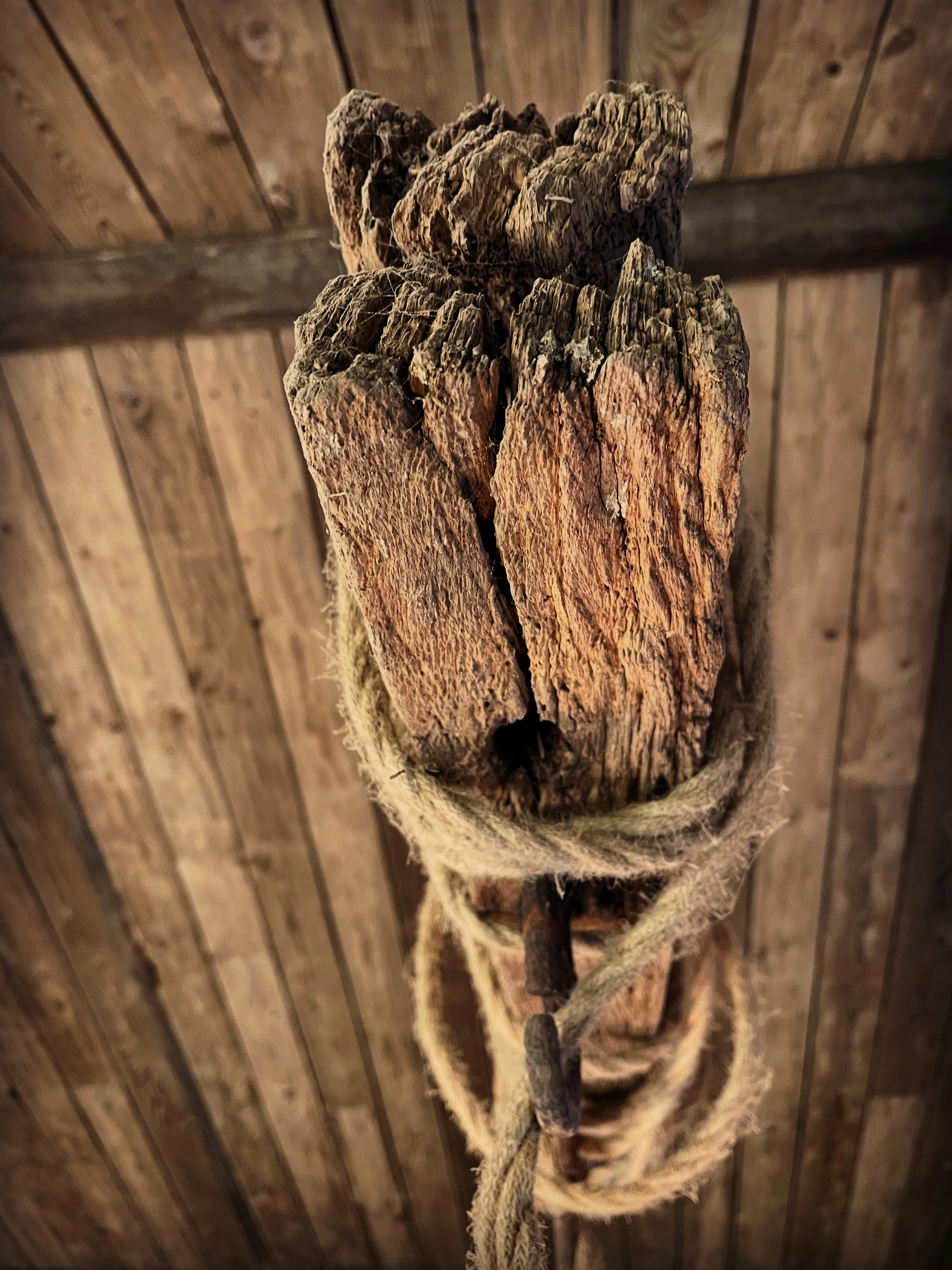 Old, weathered wooden beam with a rough, cracked surface, mounted on a wooden ceiling with visible planks, tied with a frayed rope.