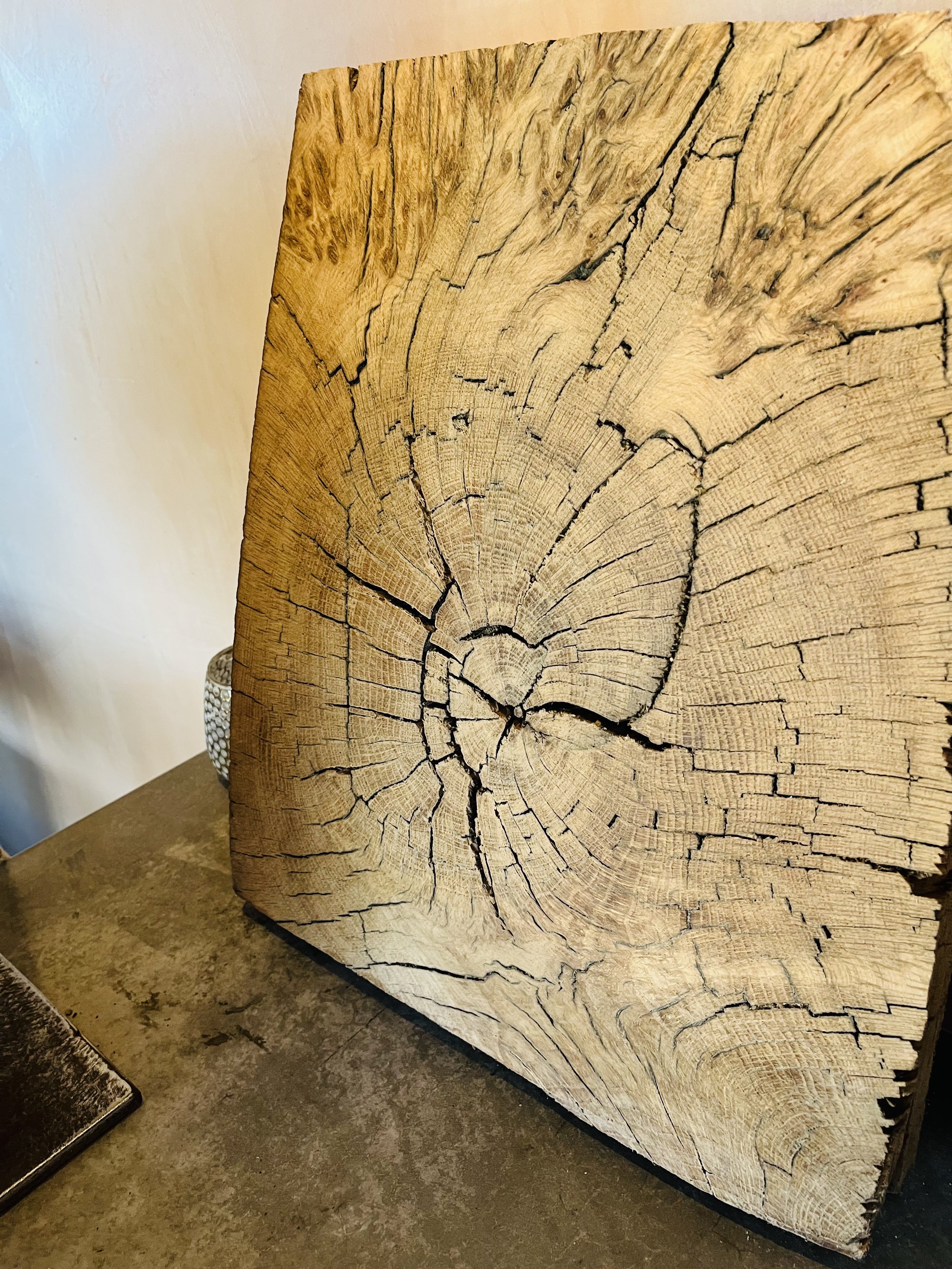 Close-up of a cross-section of a large, weathered wooden log showing growth rings and cracks.