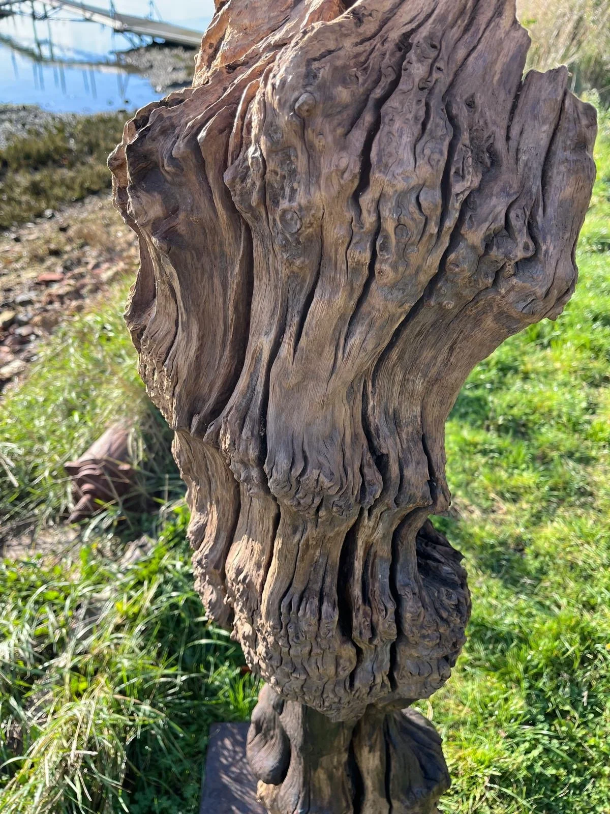 Close-up of a weathered, gnarled piece of driftwood or tree trunk with textured, twisted wood grains, placed outdoors on grassy ground with water and a bridge visible in the background.