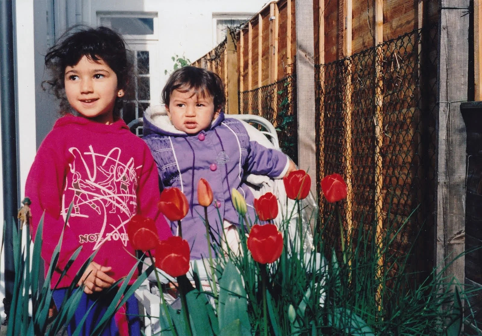 Two young girls stand near red tulips in a garden, with a wooden fence and part of a house in the background.