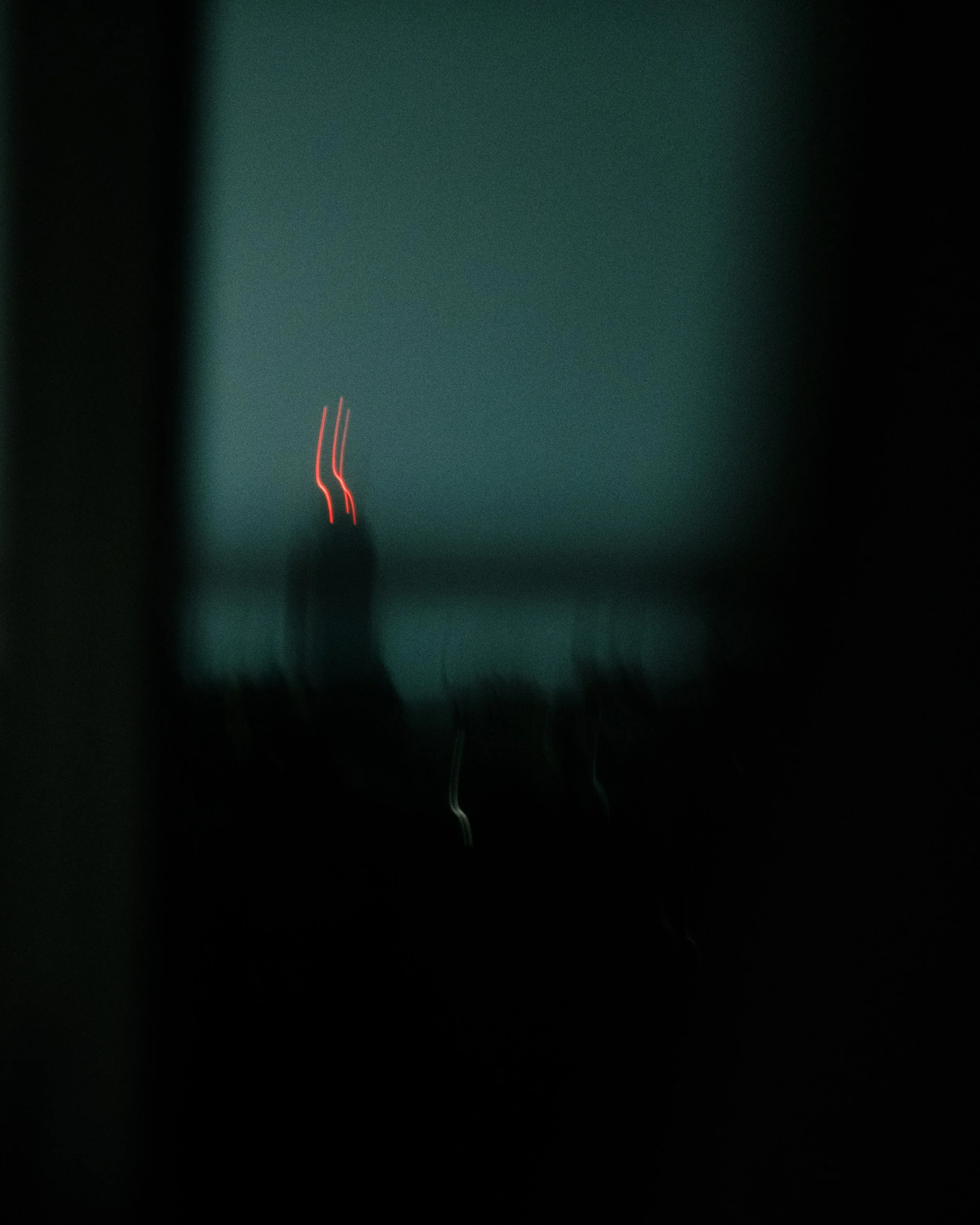 Février 2025-148.jpg