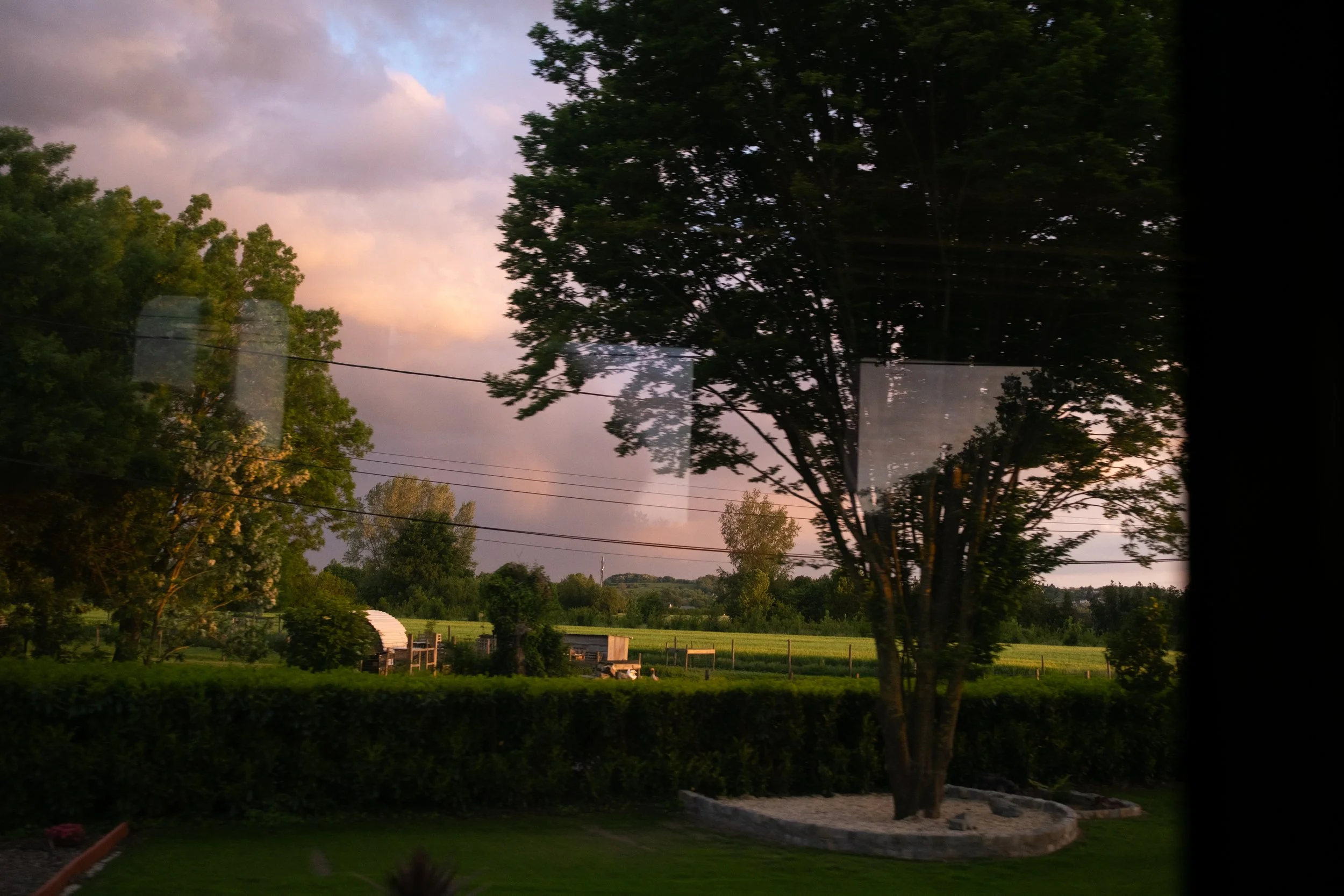 Mai 06 - Fuji Agay-44.jpg