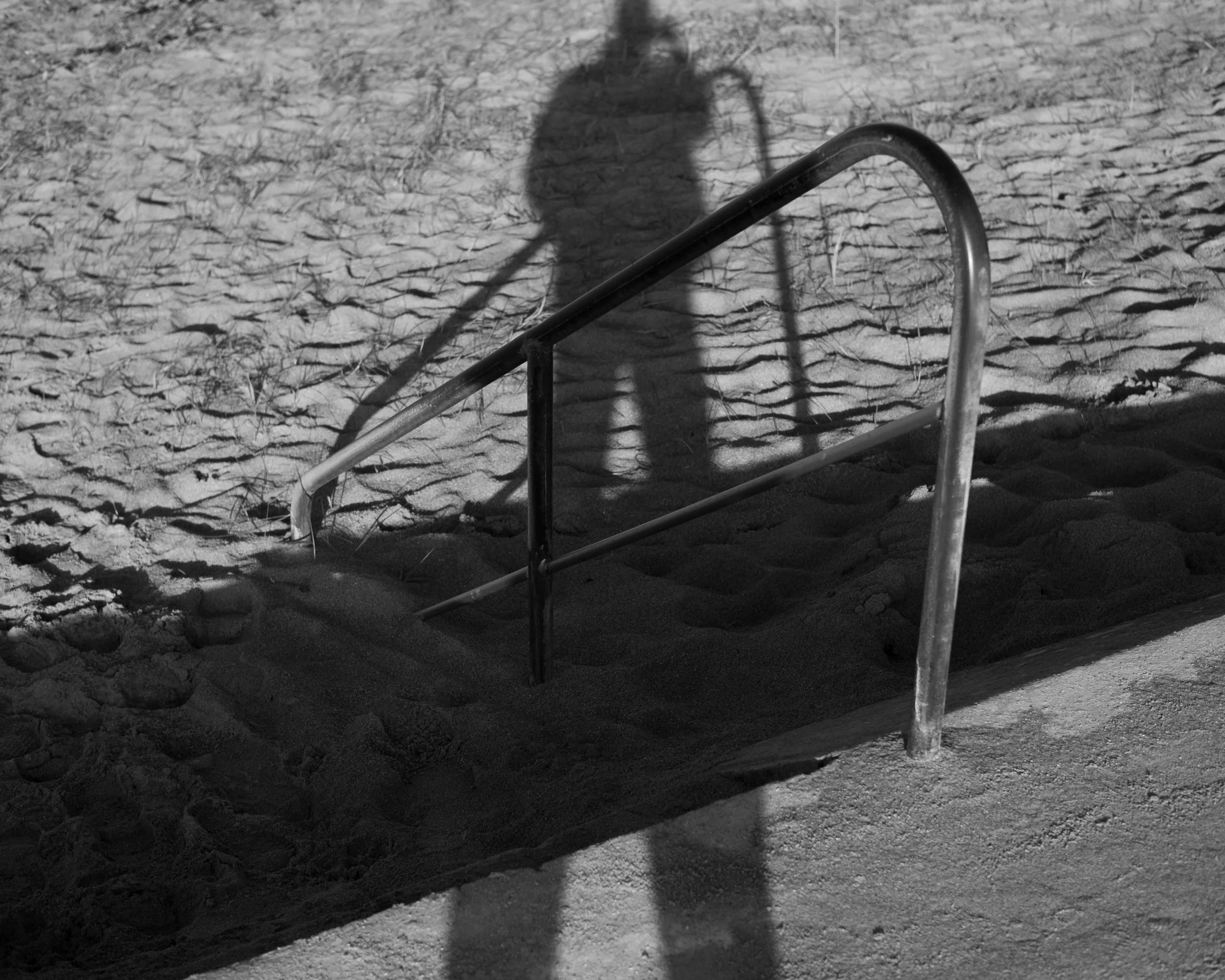 Février 2025-240.jpg