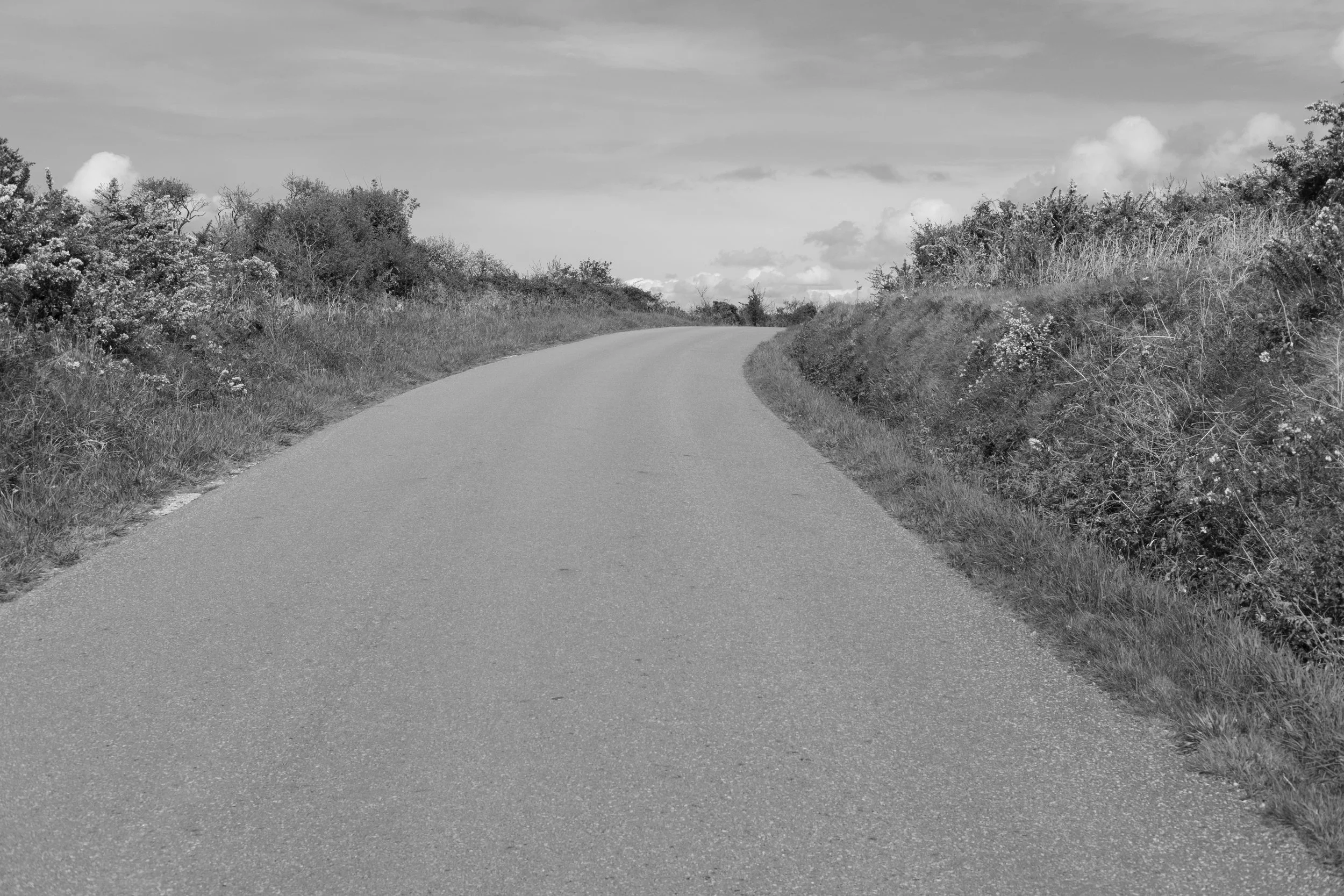 Avril 22 - Fuji-408.jpg