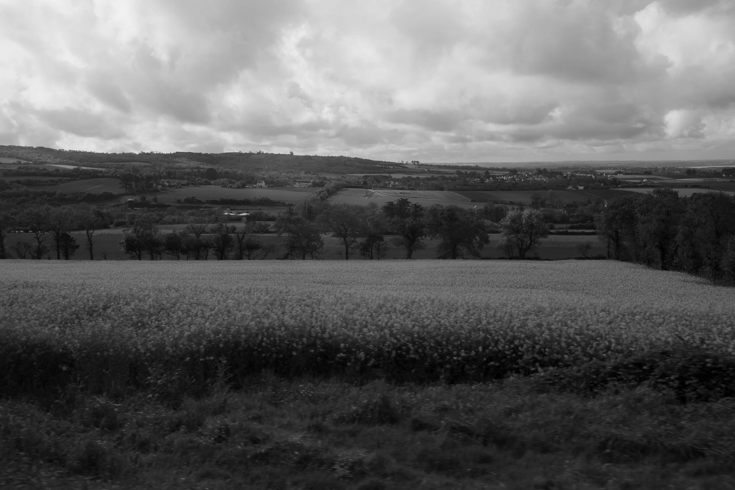 Avril 22 - Fuji-193.jpg