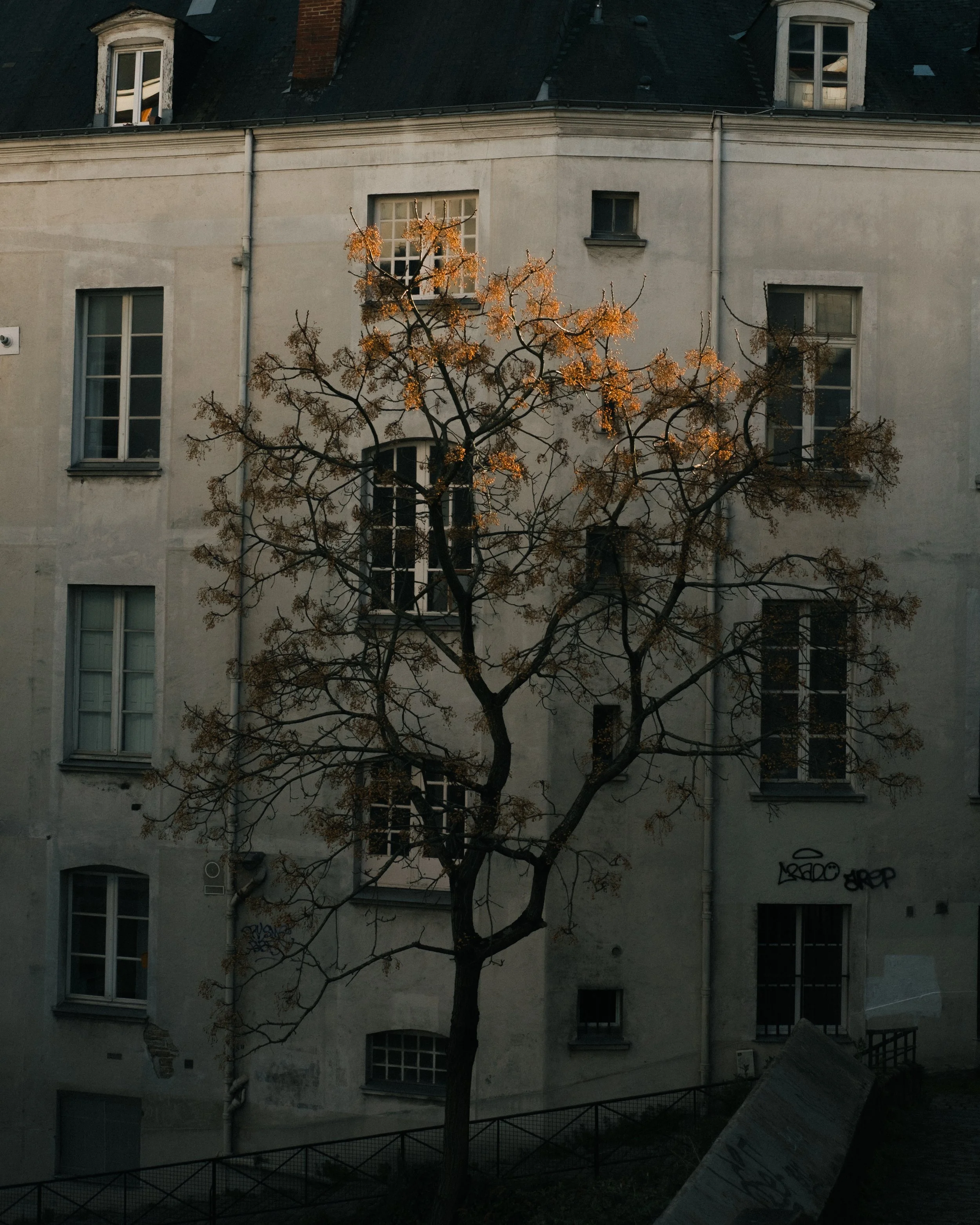 Avril 6 - Fuji-77.jpg