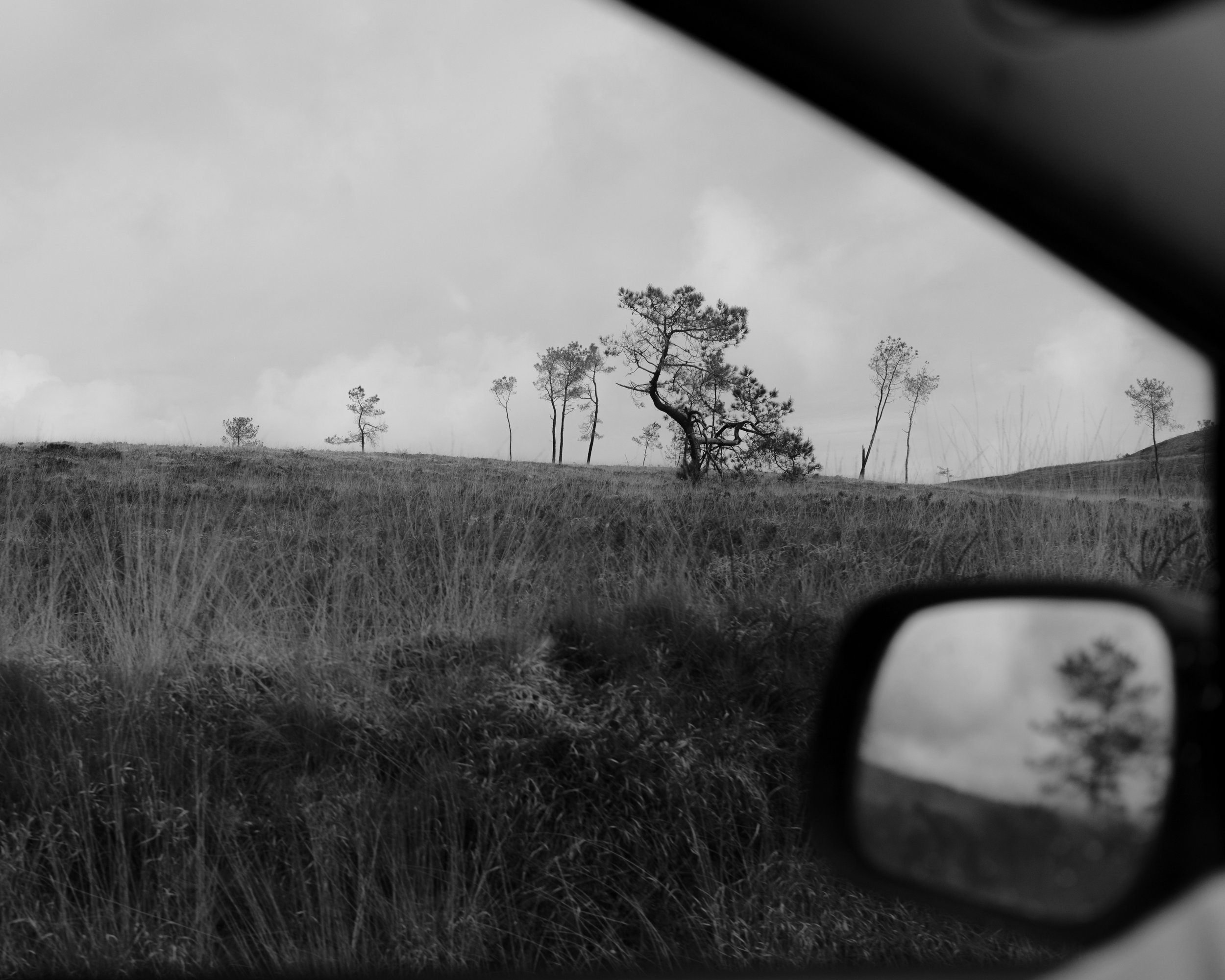 Avril 22 - Fuji-165.jpg