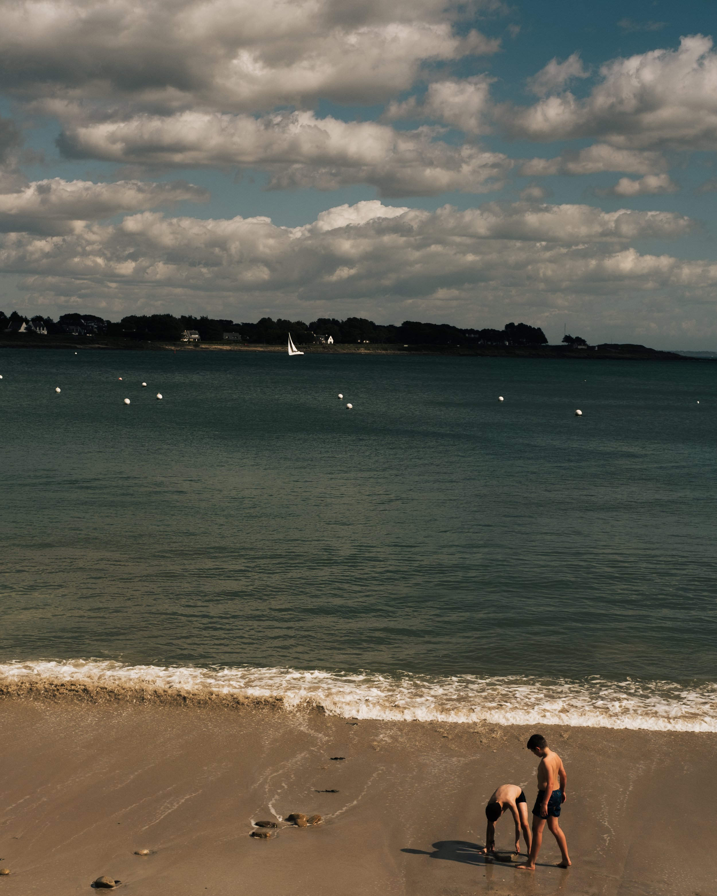 Vacances Perros fin-32.jpg