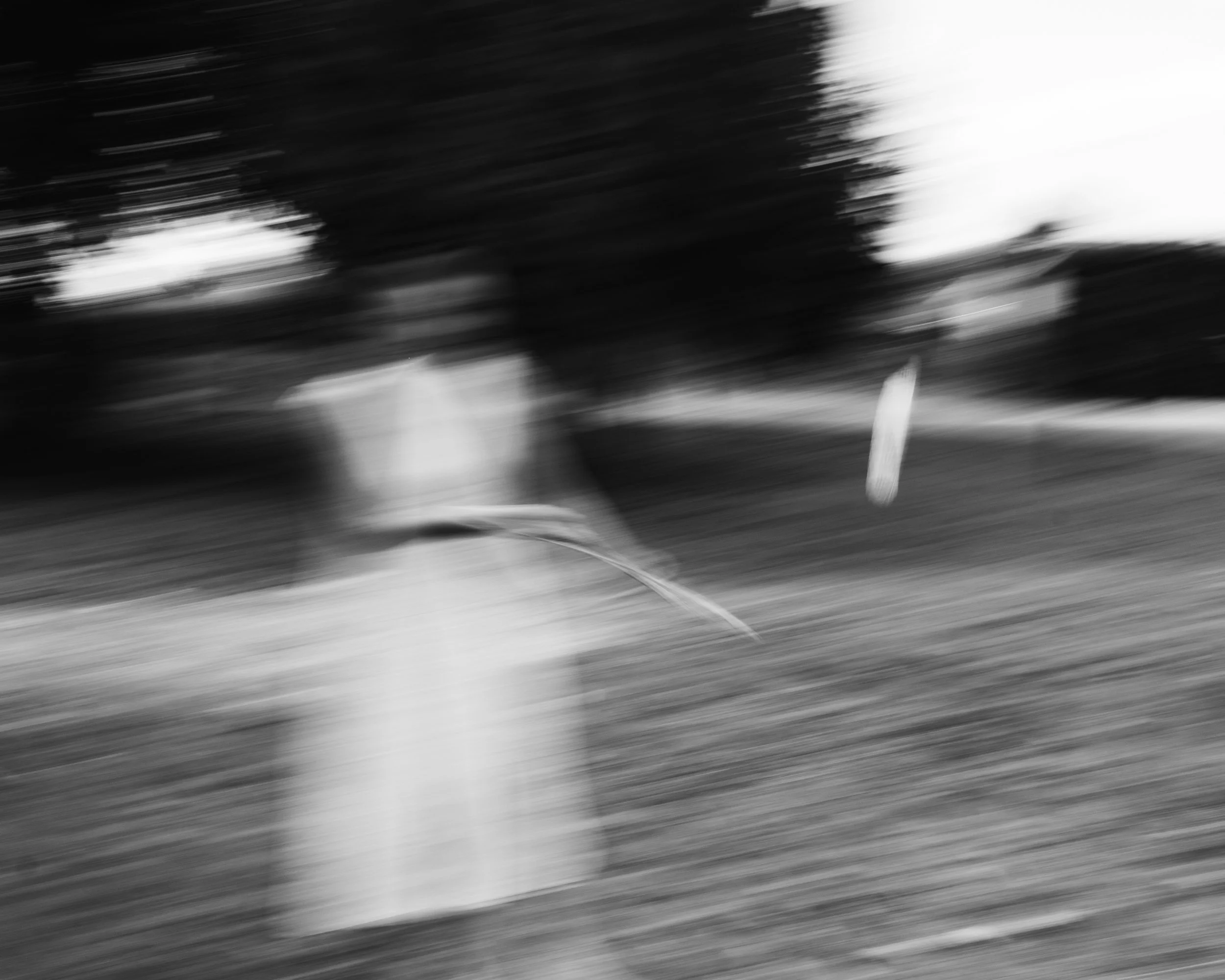 vacances 2022-127.jpg