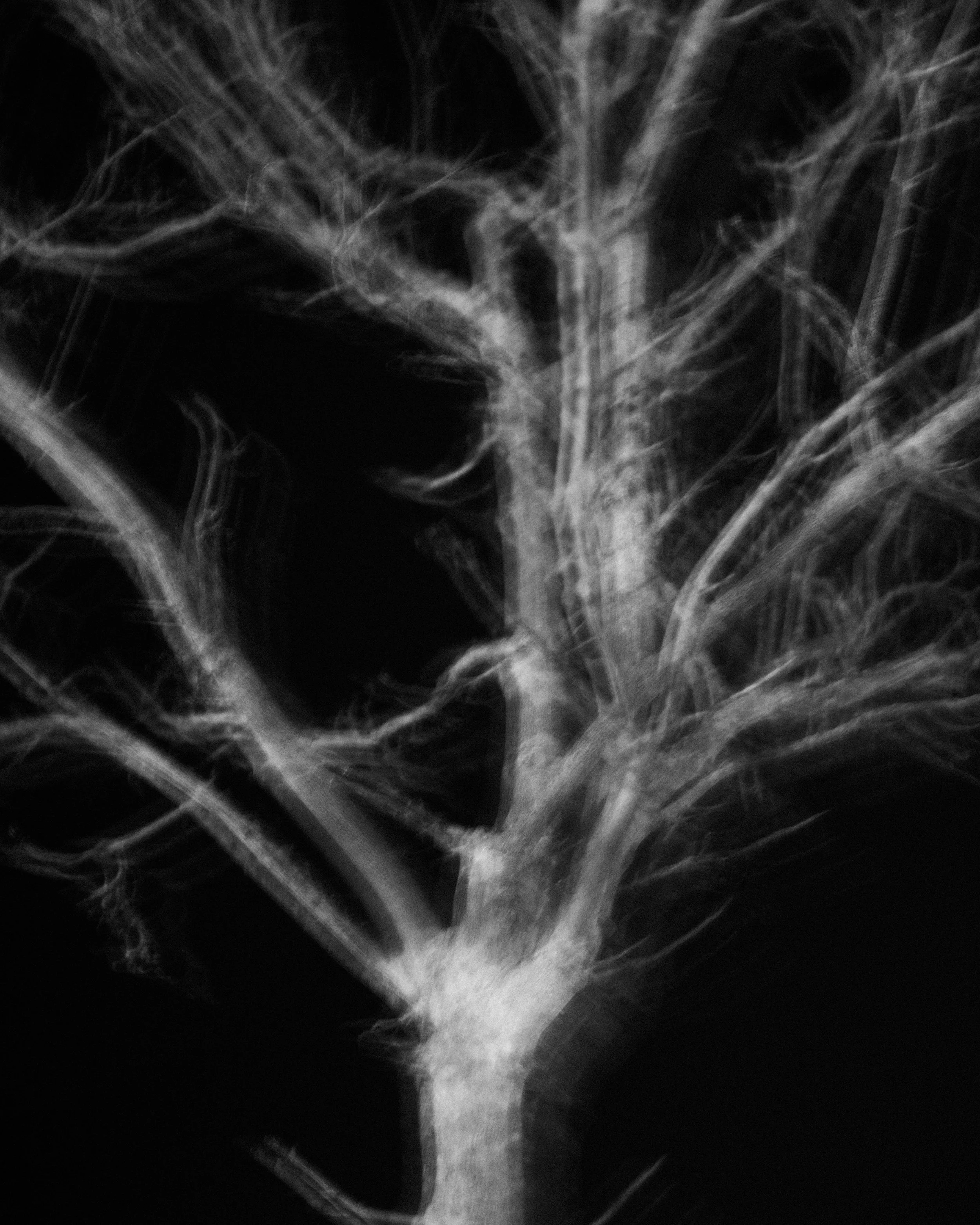 vacances perros-69.jpg