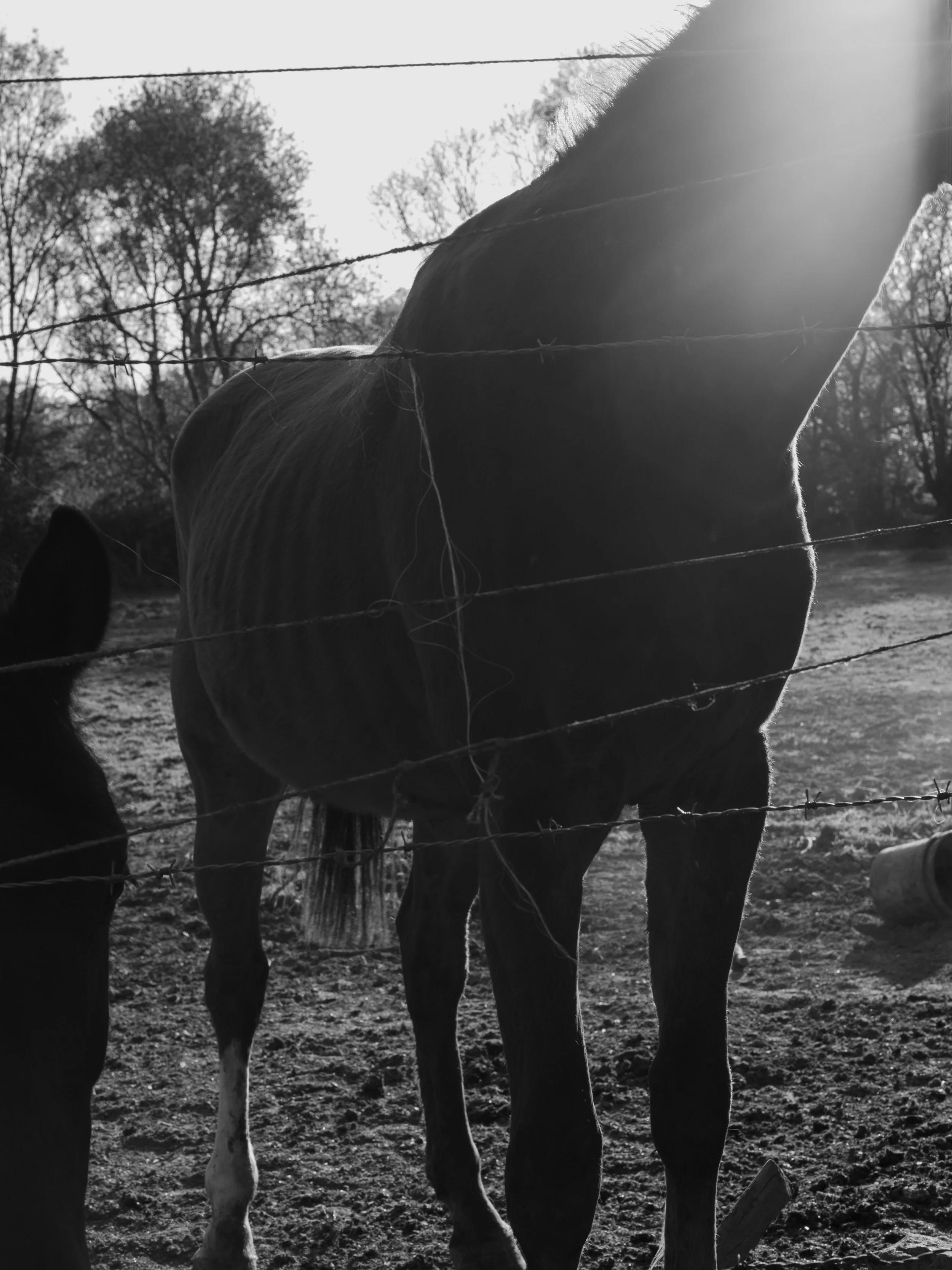 Avril 12 - Canon-167.jpg