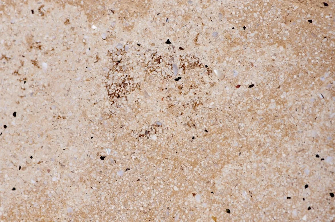 ART STONE sculptural stone plaster sample, rock-face texture in Natural Beige — Elf Decor · ART STONE aged lime plaster sample, layered sedimentary stone effect — Elf Decor