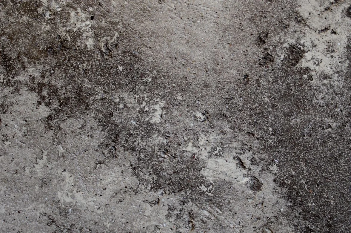 ART STONE — Sculptural Stone Plaster · Free Sample