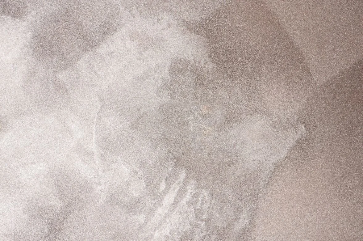 ILLUSION pearl metallic plaster sample with gold granule sparkle, Gold base — Elf Decor · ILLUSION pearlescent wall finish sample, White Gold base — Elf Decor