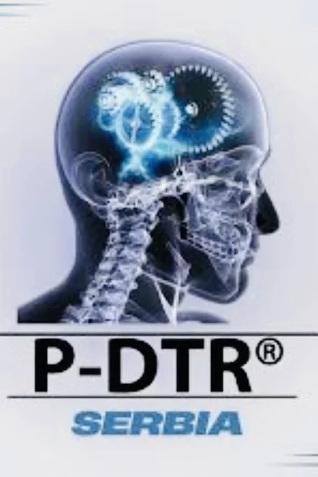 P-DTR Foundation 2 in Novi Sad: Danny van Doorn unterrichtet in Serbien