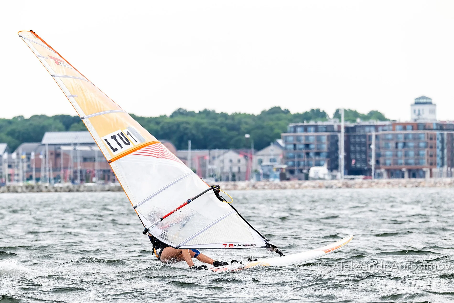 DSC_5964.jpg