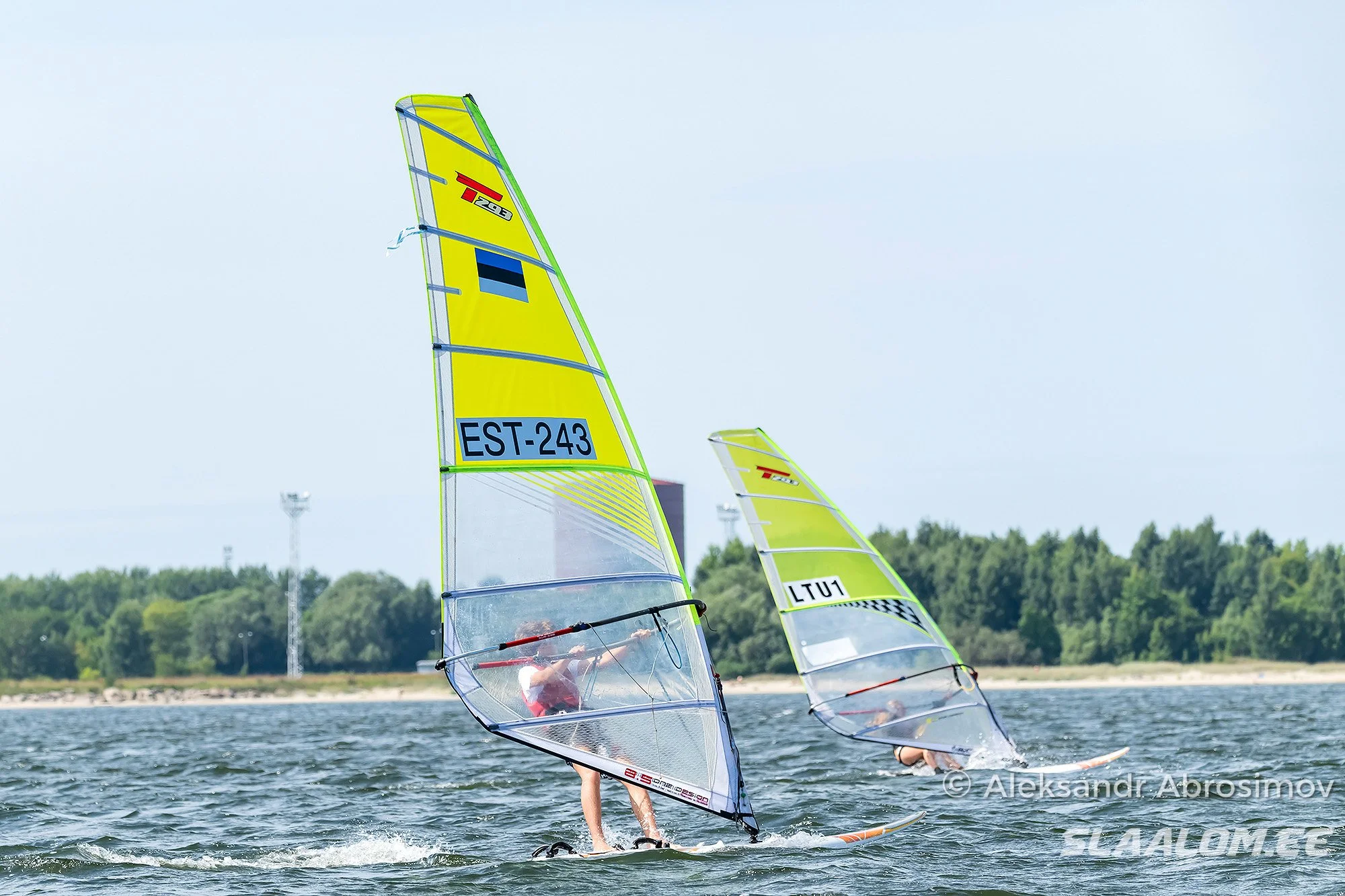 DSC_6598.jpg