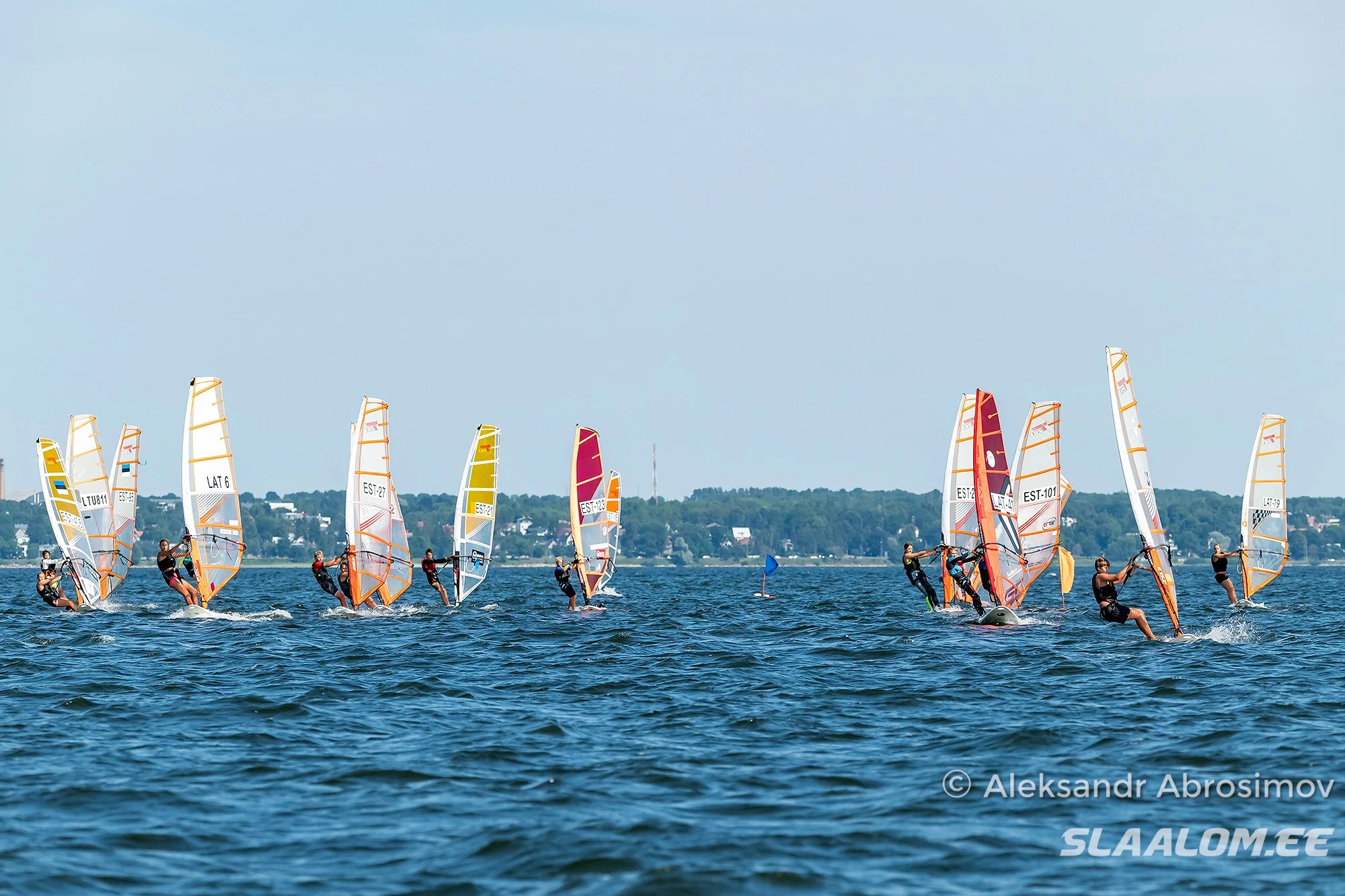 DSC_6608.jpg