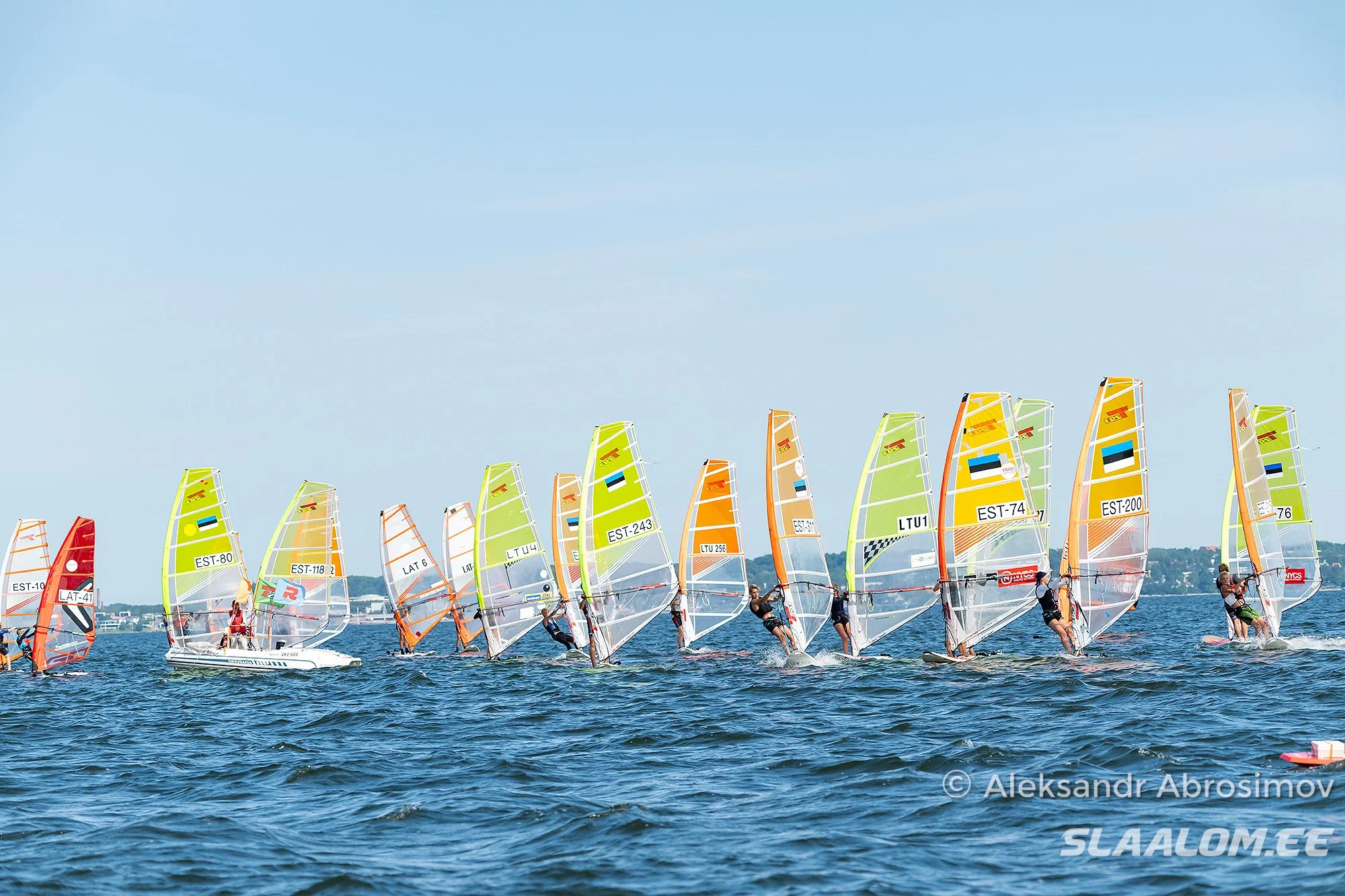 DSC_6561.jpg