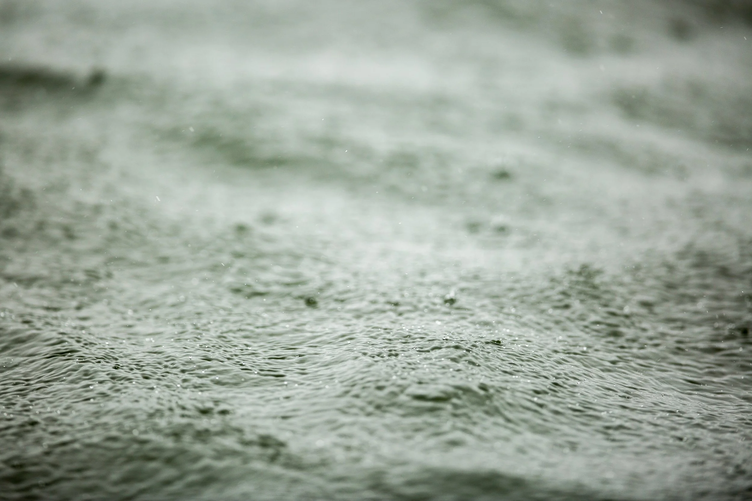 Slalom (62 of 74).jpg