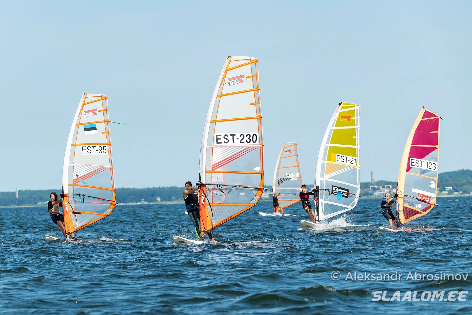 DSC_6617.jpg