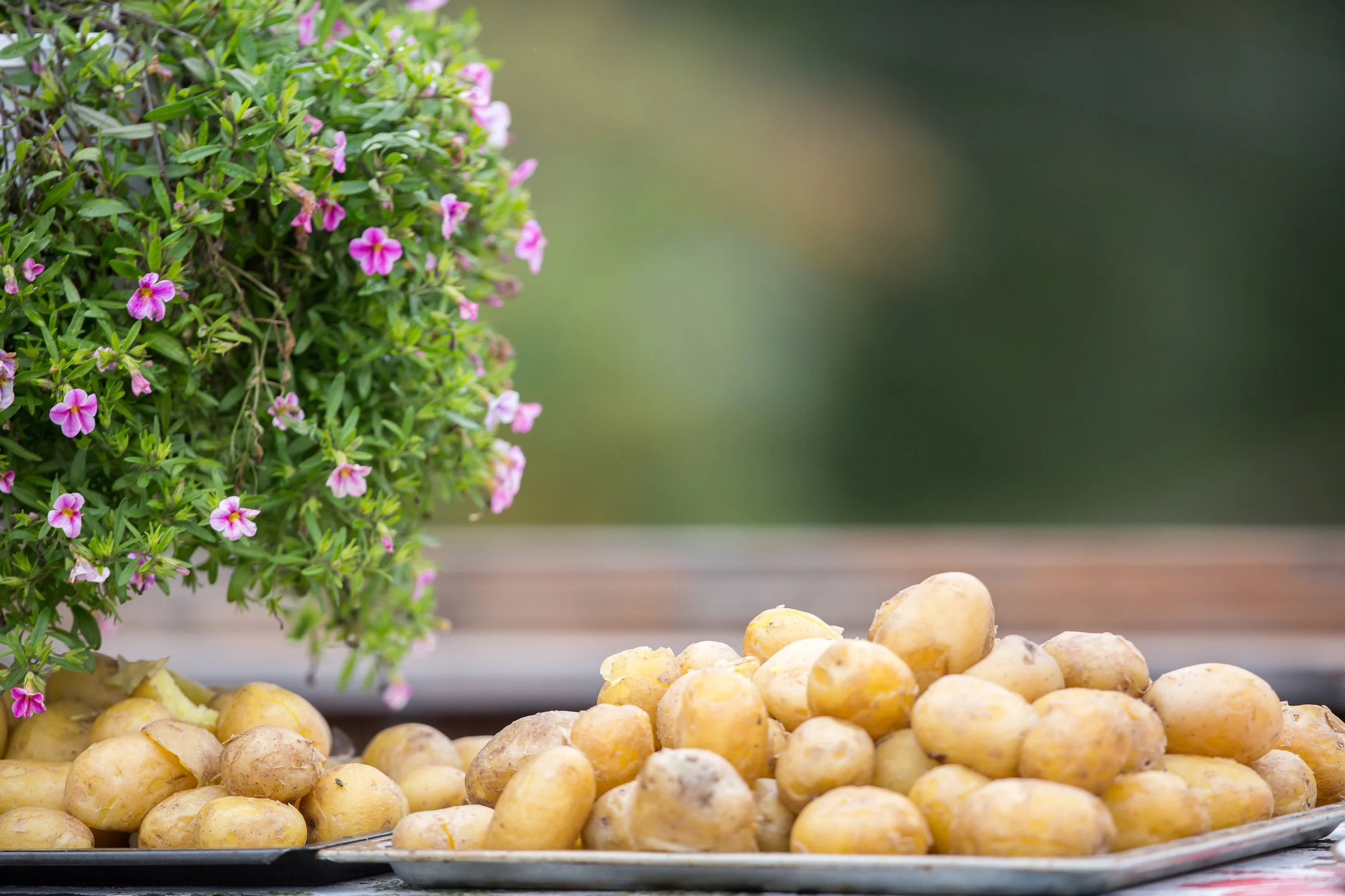 Teine päev (20 of 112).jpg