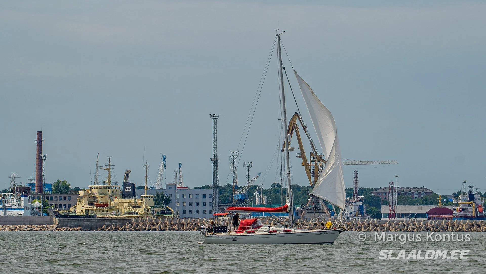DSC04807.jpg