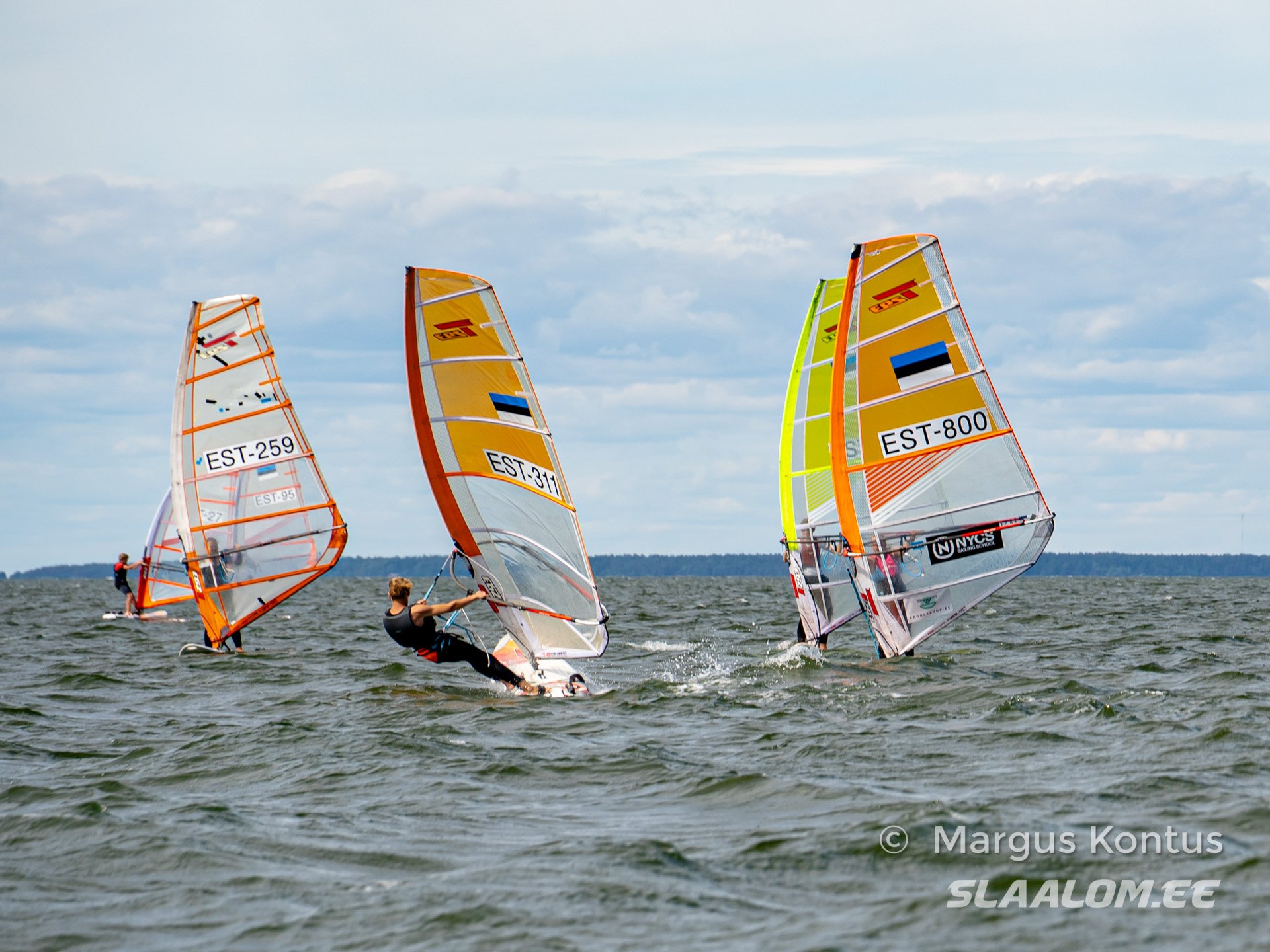 DSC00484.jpg