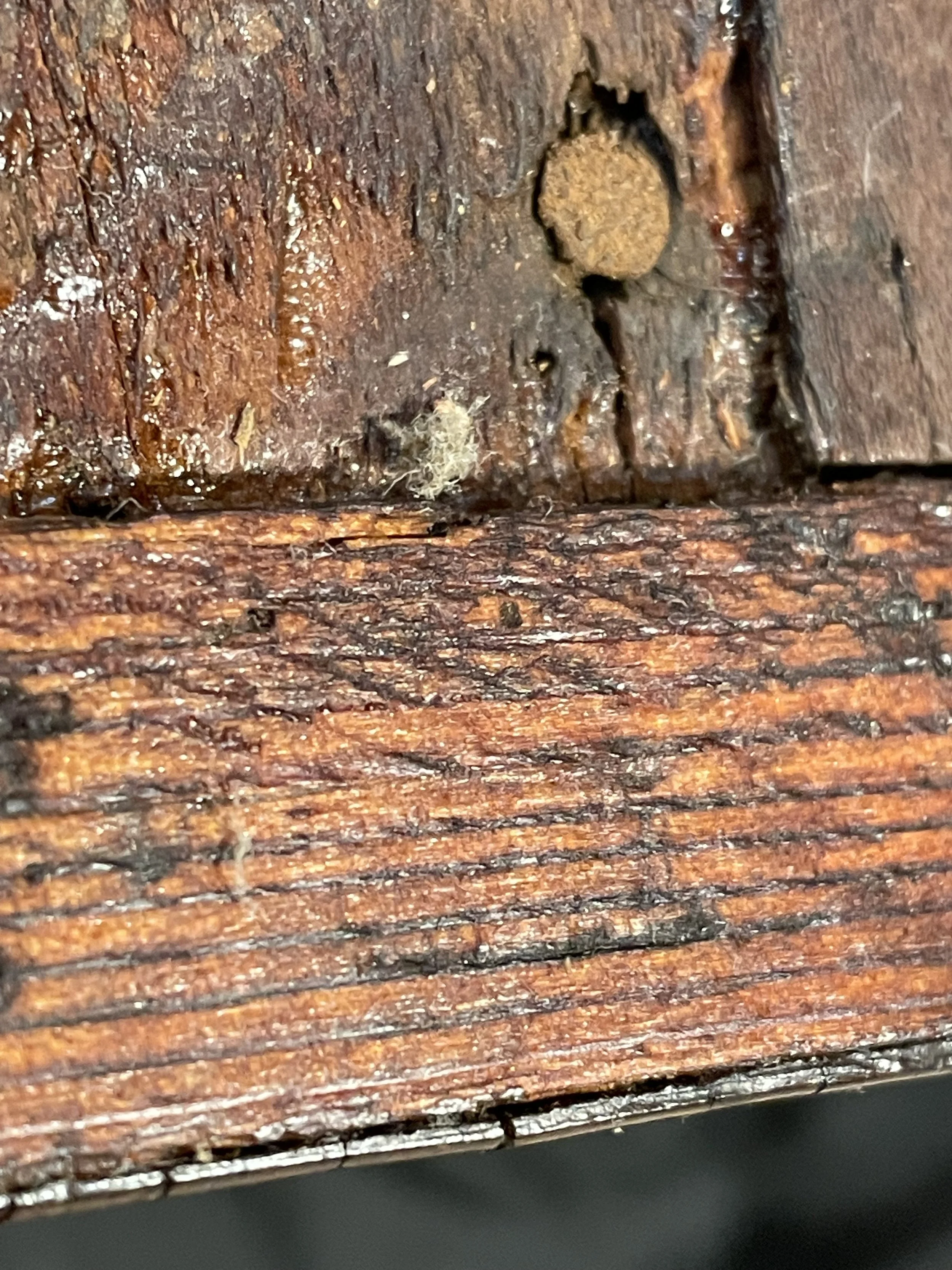 IMG_1938.jpeg