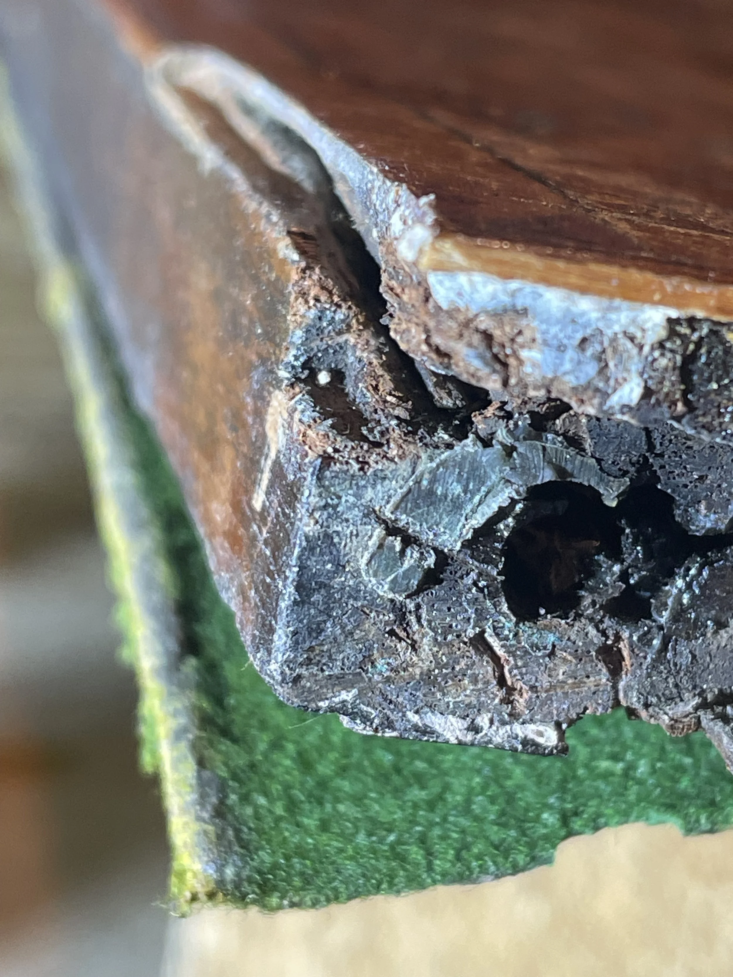 Wood separated at the hinge screws. 