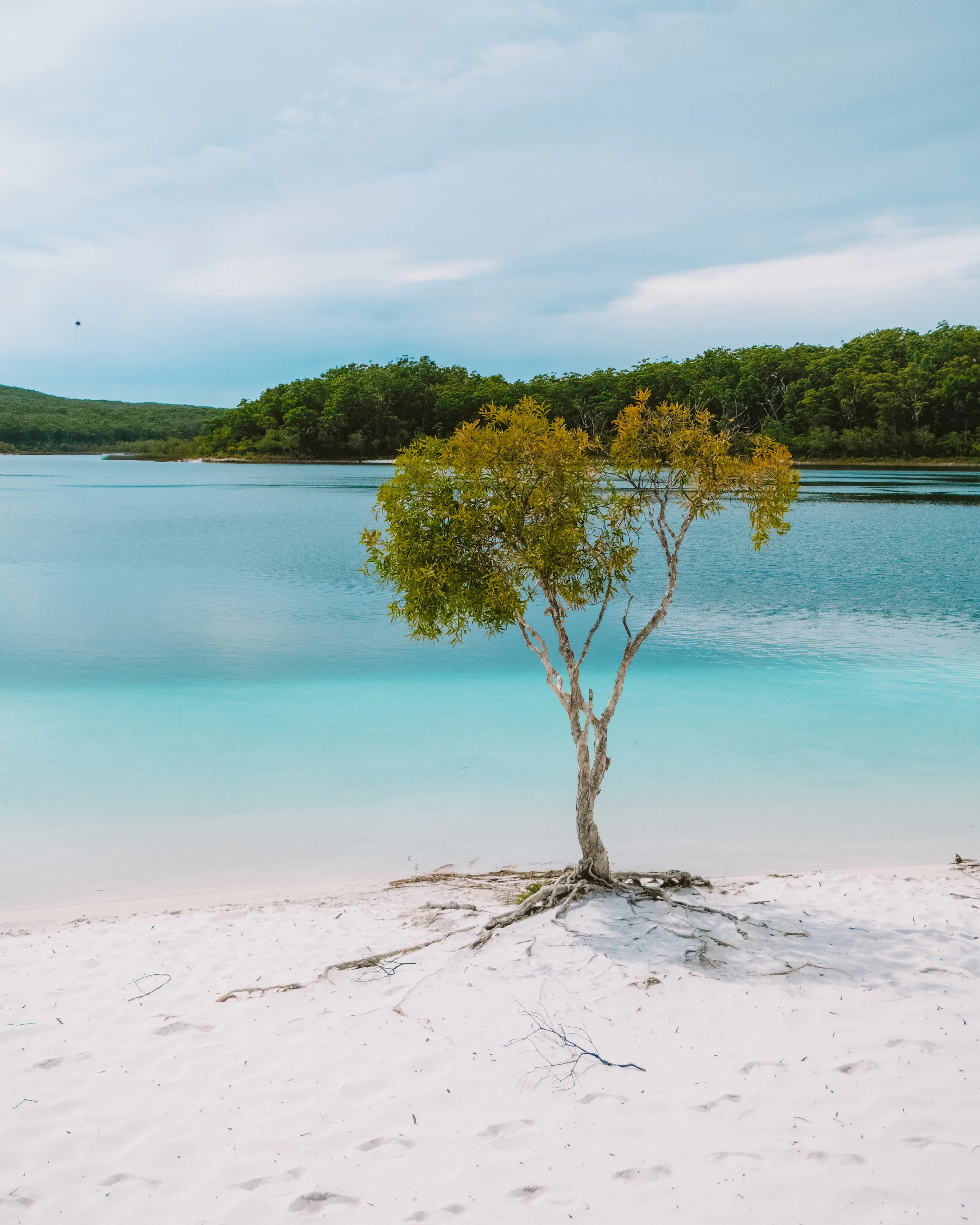 How to visit K’gari &amp; Epic Things to do on the world largest sand island (Fraser Island)